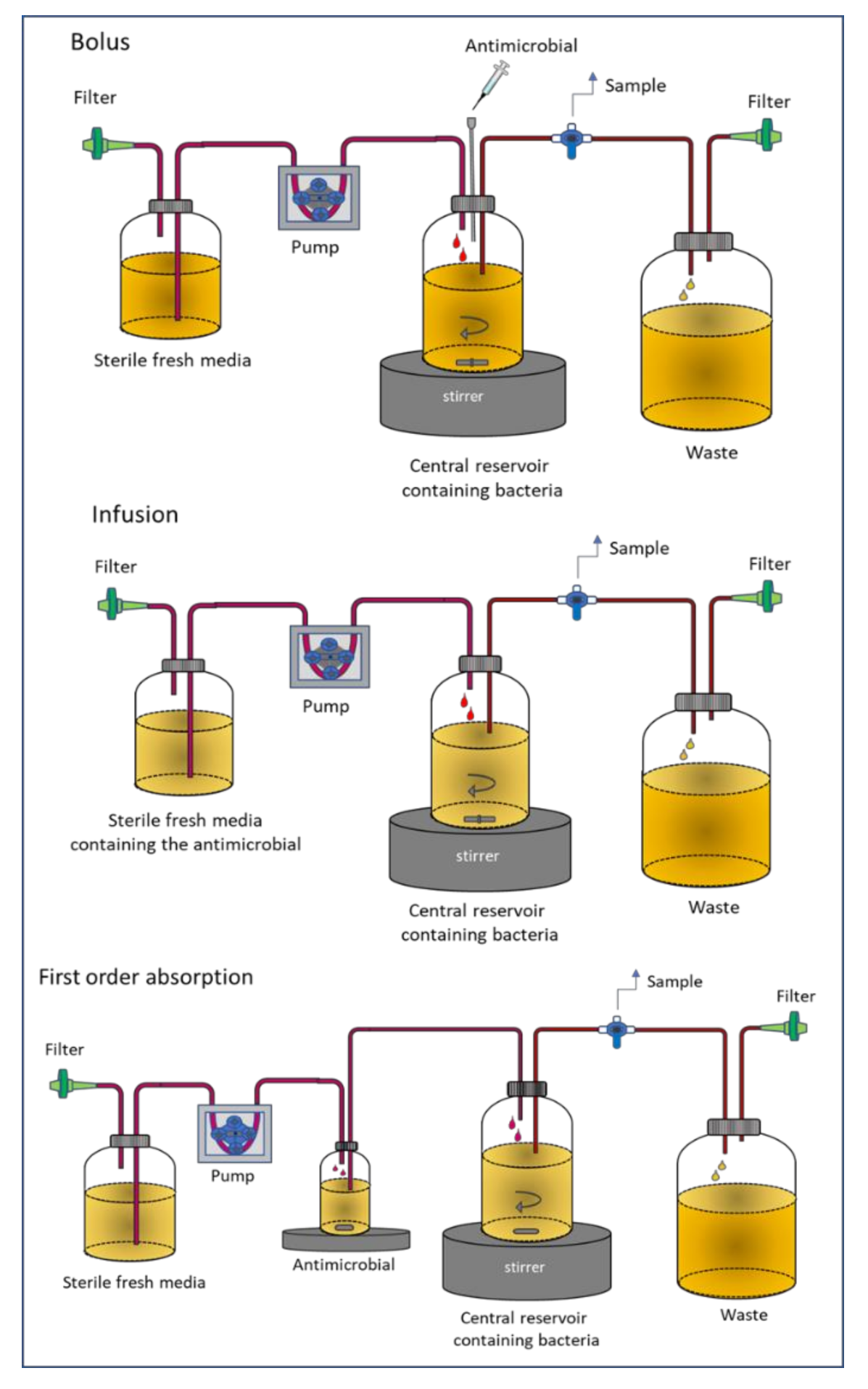 Pharmaceutics 13 00833 g001