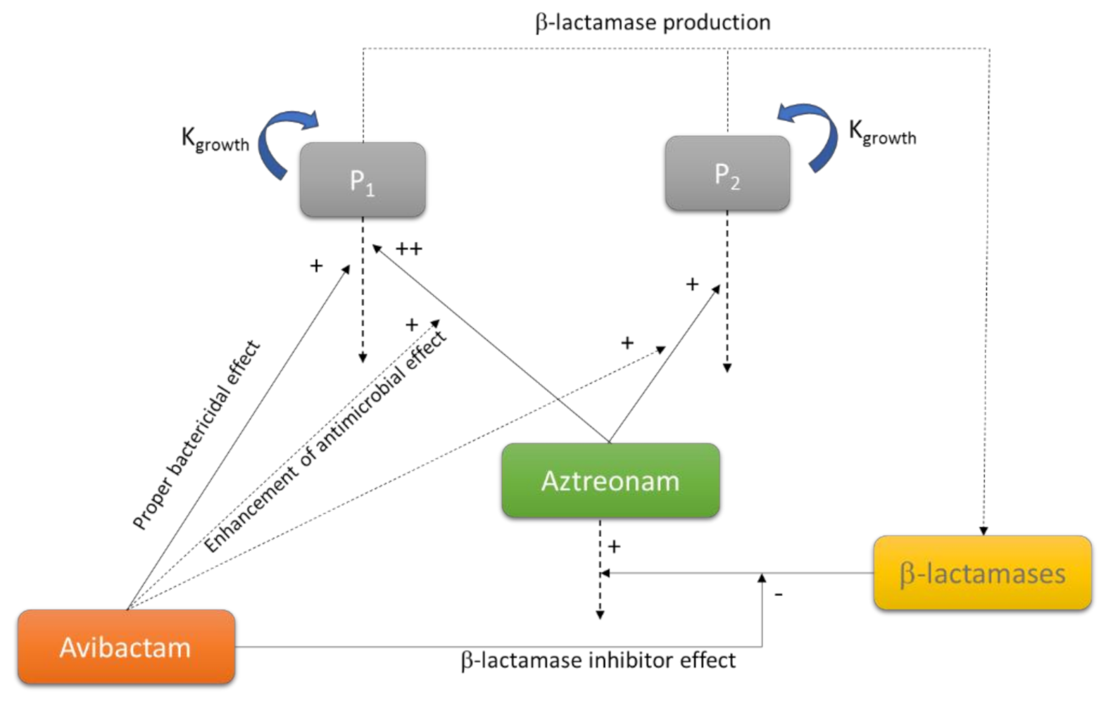 Pharmaceutics 13 00833 g005