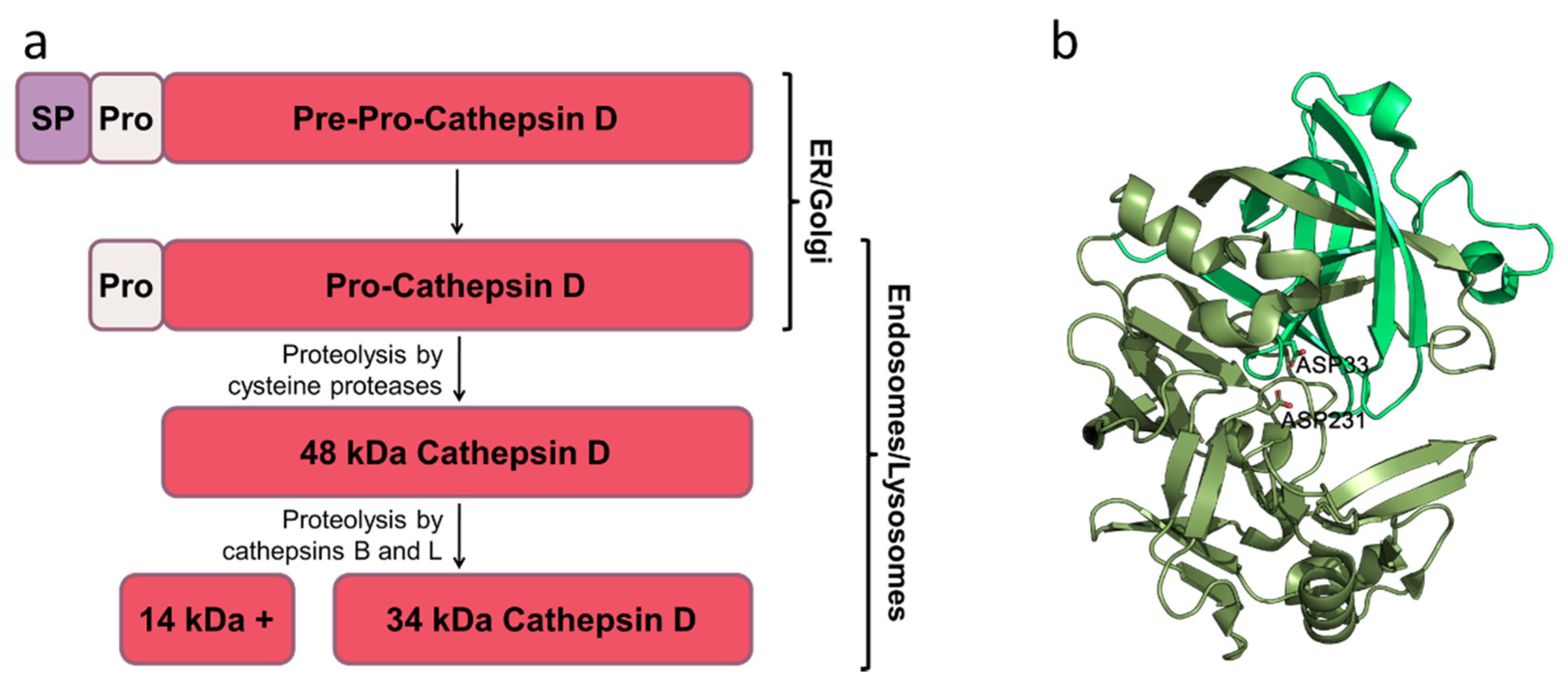 Pharmaceutics 13 00837 g001