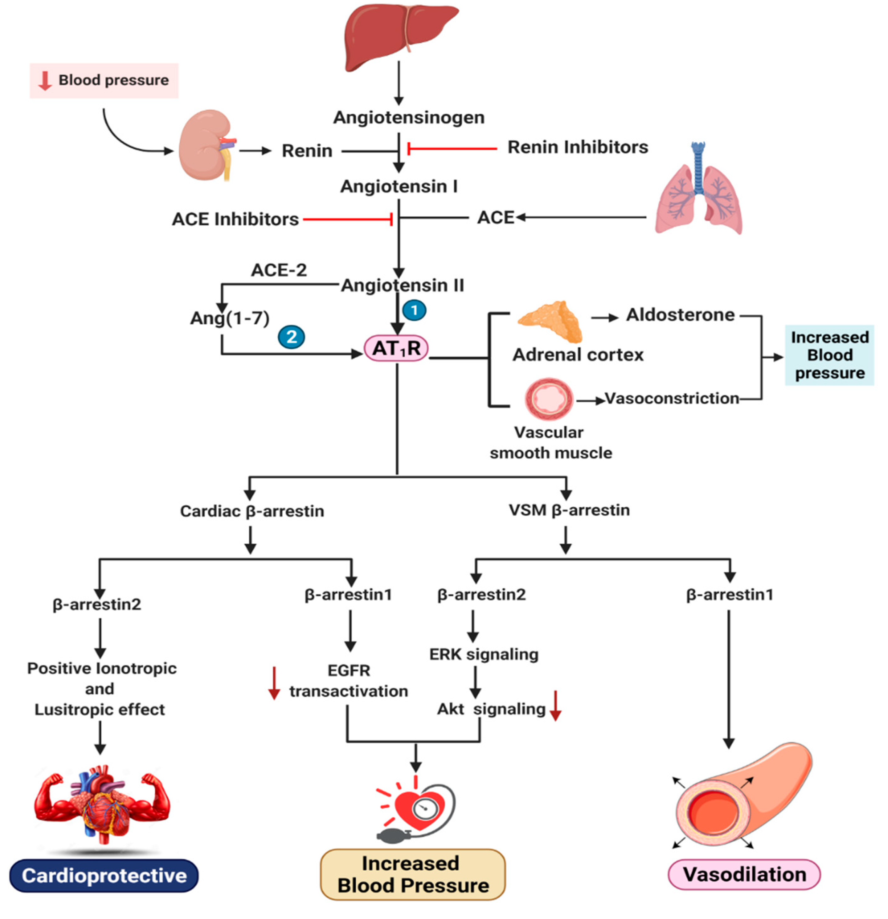 Pharmaceutics 13 00838 g002