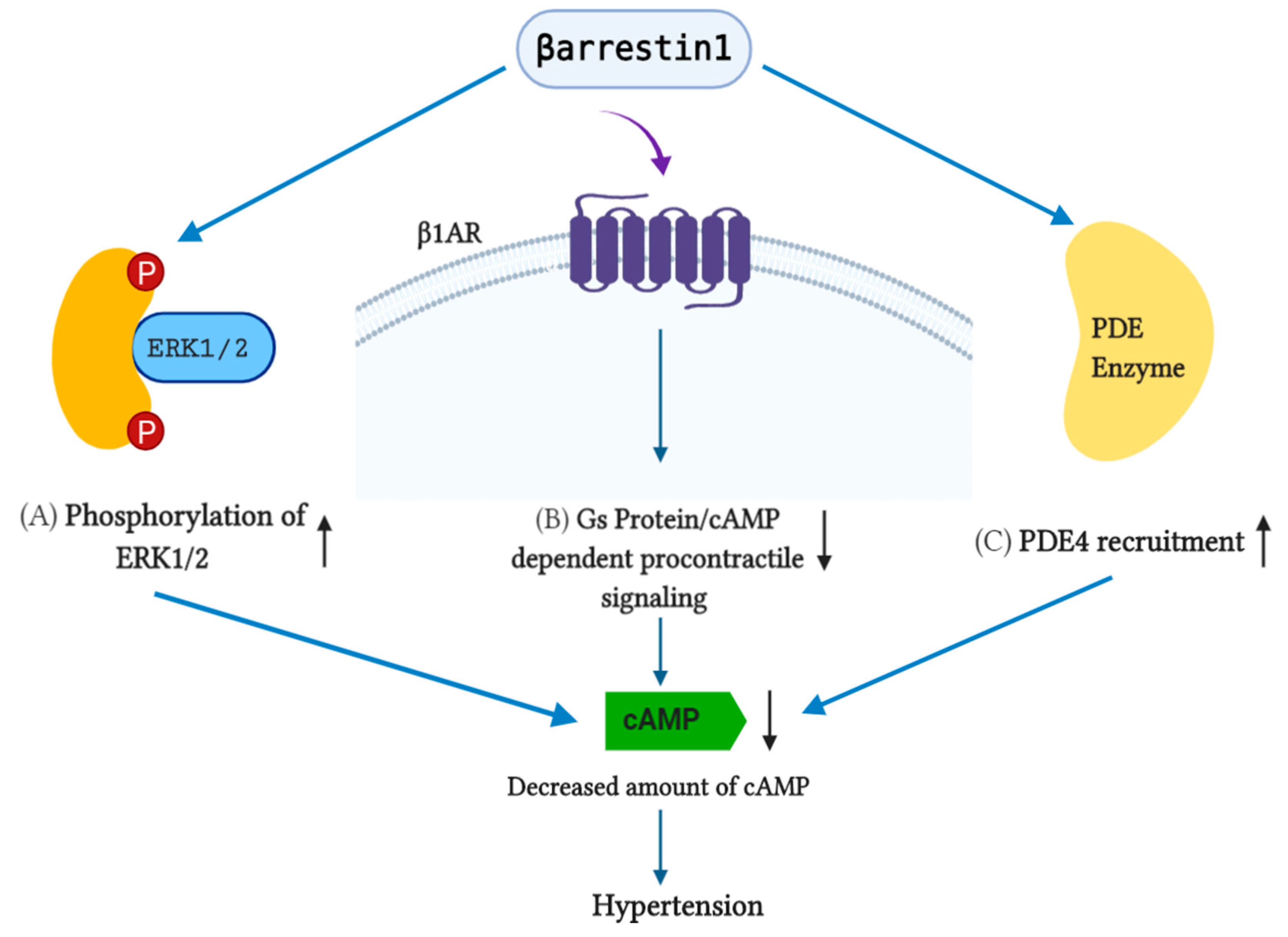 Pharmaceutics 13 00838 g003