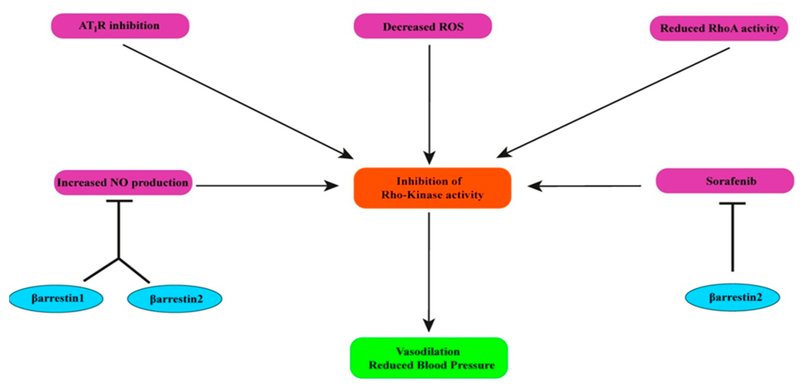Pharmaceutics 13 00838 g006