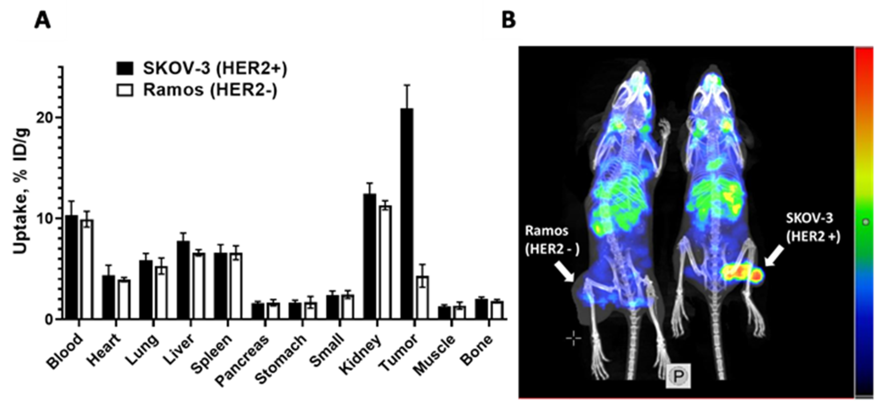 Pharmaceutics 13 00839 g006 Pharmaceutics 13 00839 g006