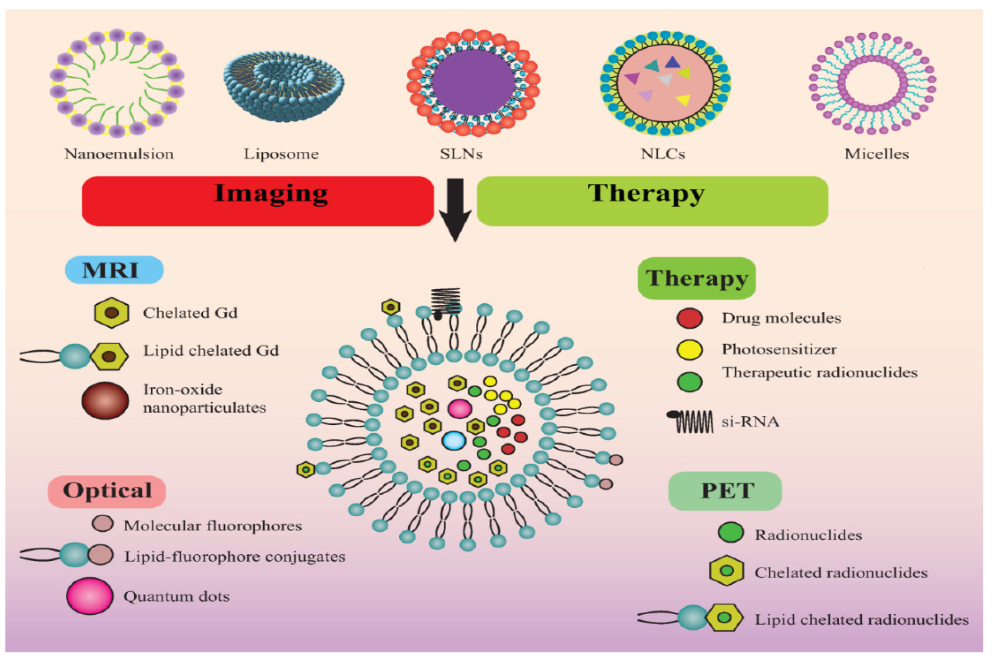 Pharmaceutics 13 00840 g004 Pharmaceutics 13 00840 g004