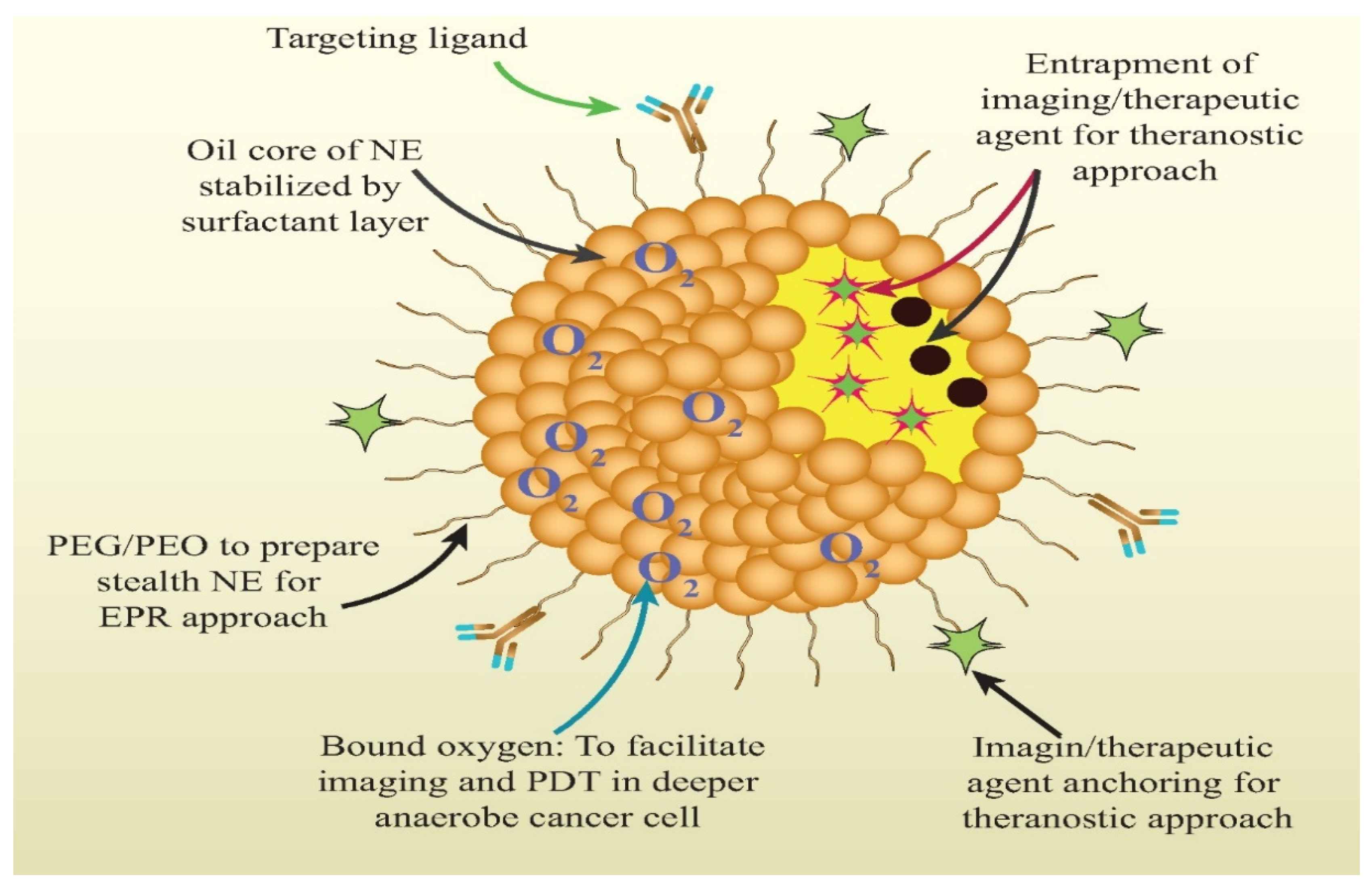 Pharmaceutics 13 00840 g005 Pharmaceutics 13 00840 g005