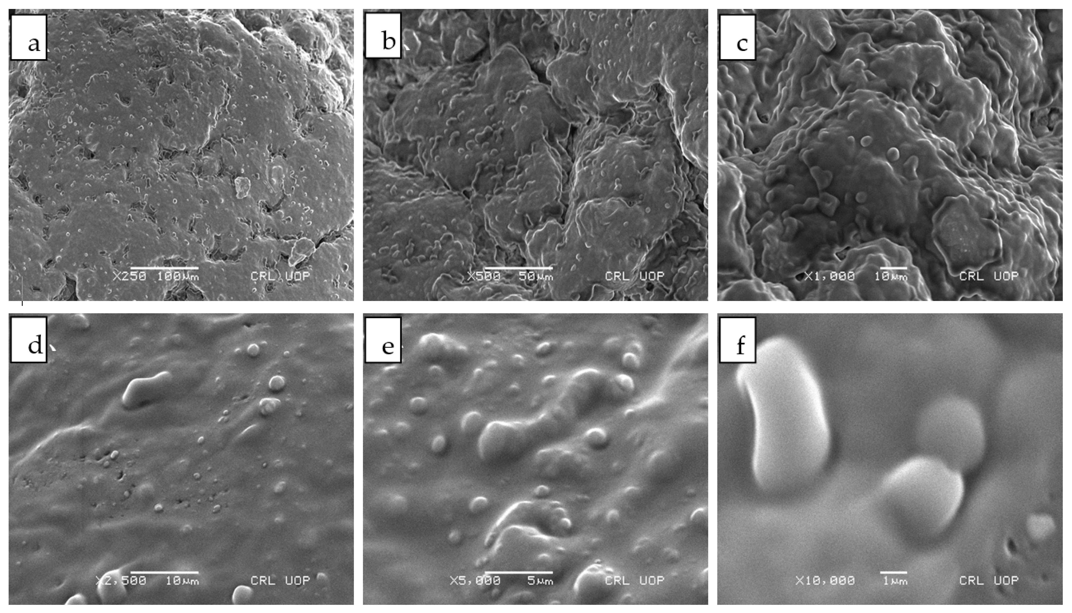 Pharmaceutics 13 00841 g002