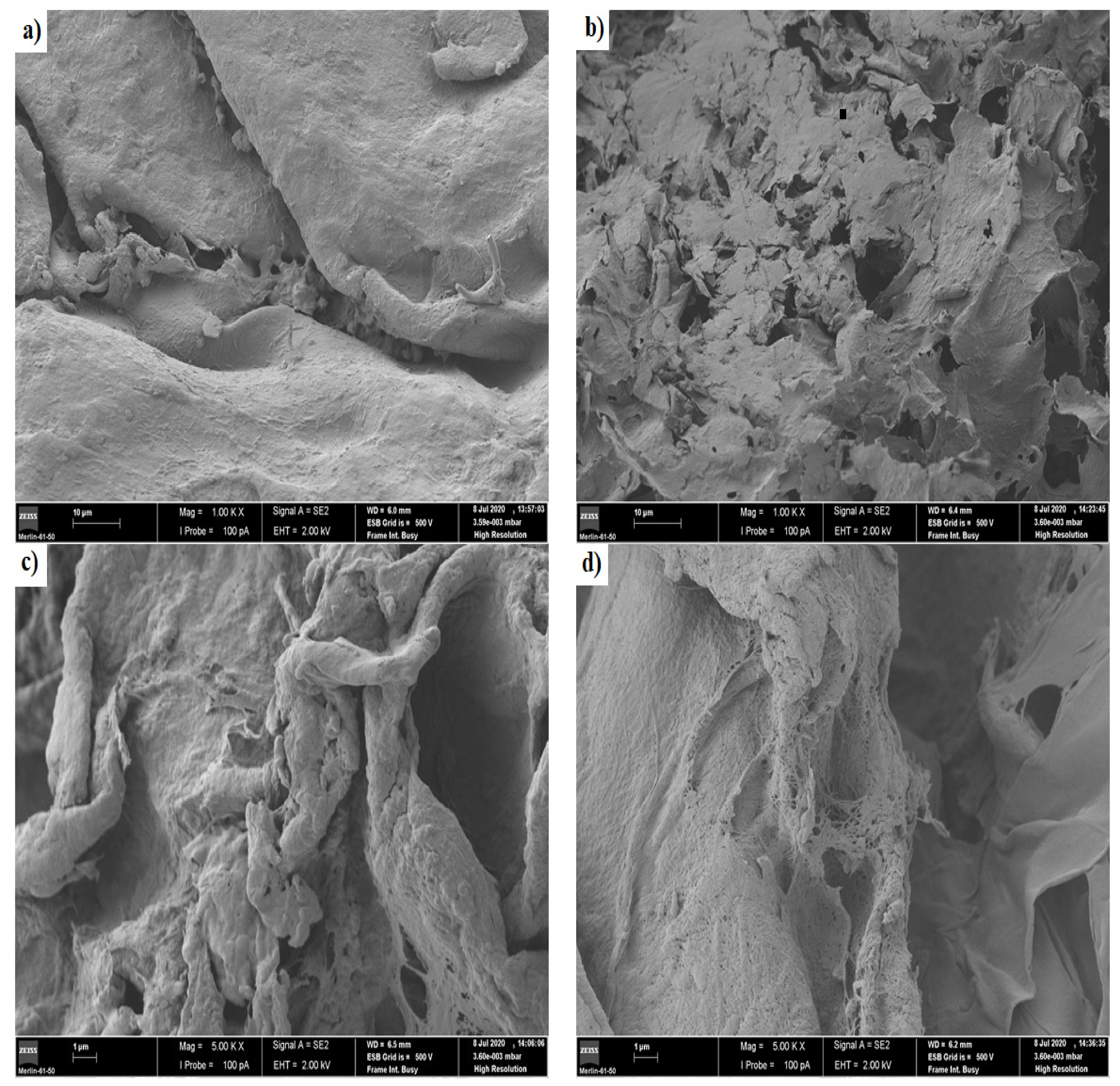 Pharmaceutics 13 00842 g006