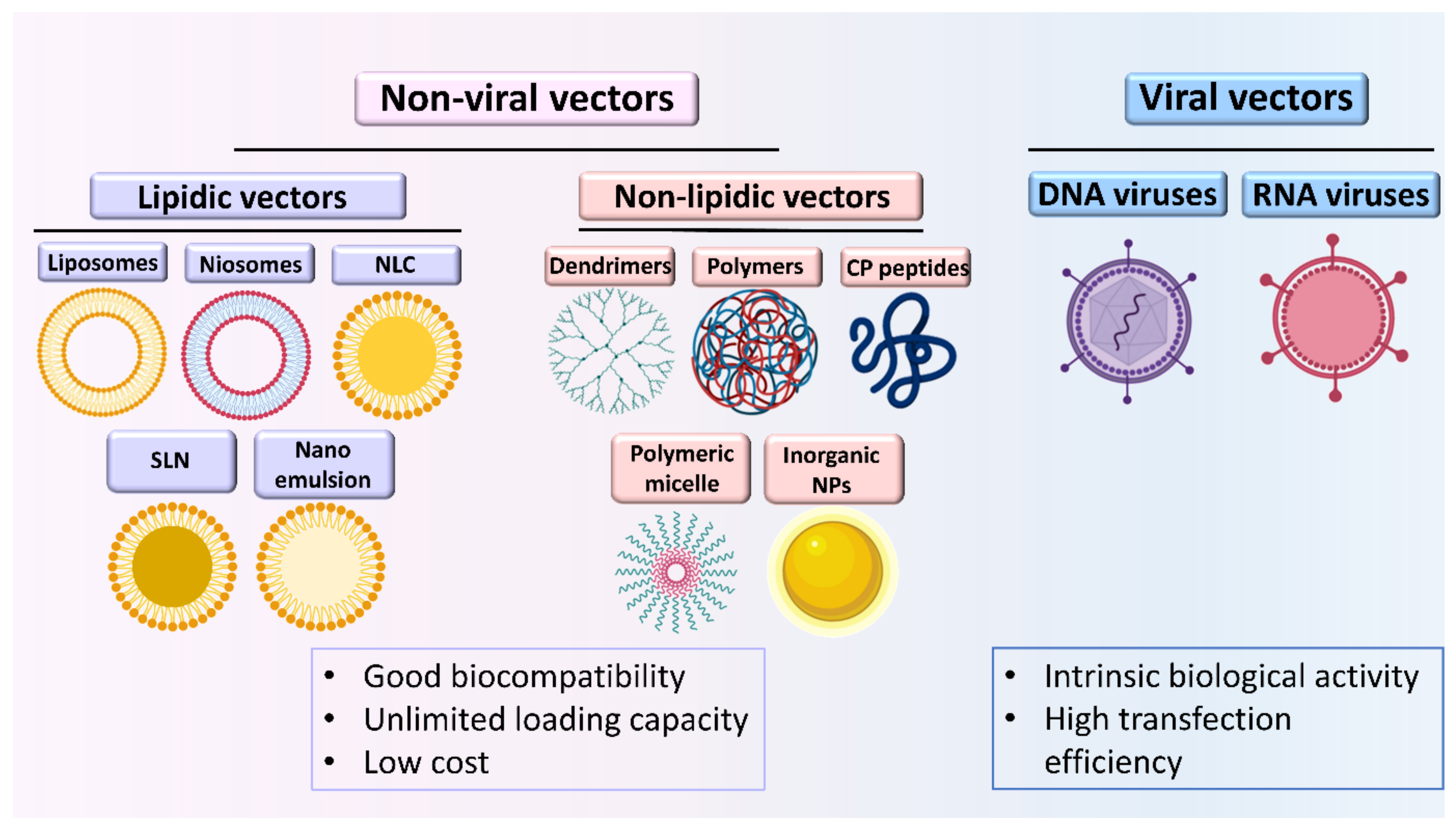 Pharmaceutics 13 00843 g001