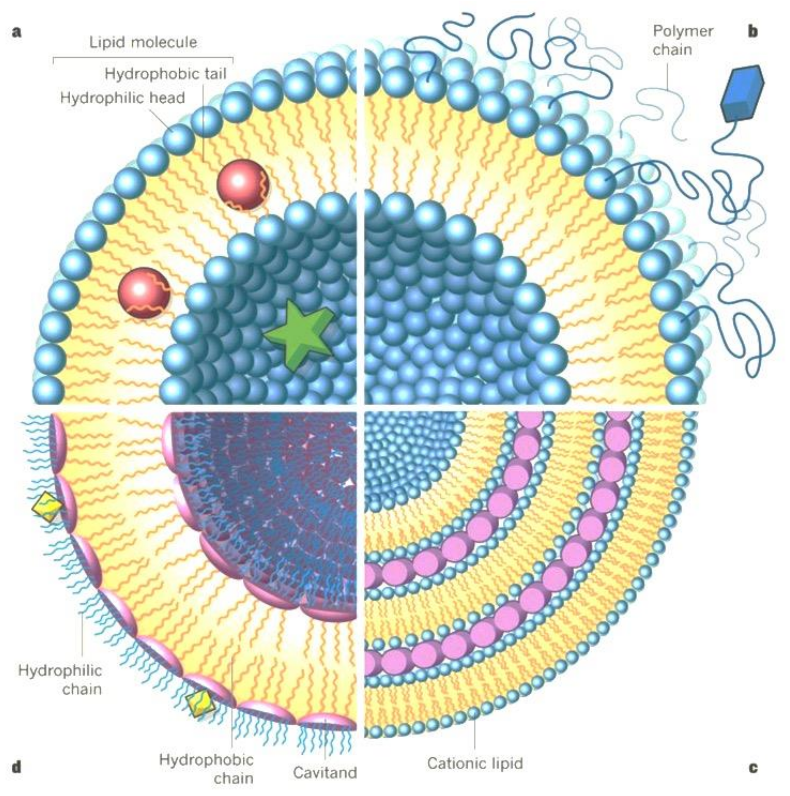 Pharmaceutics 13 00843 g002