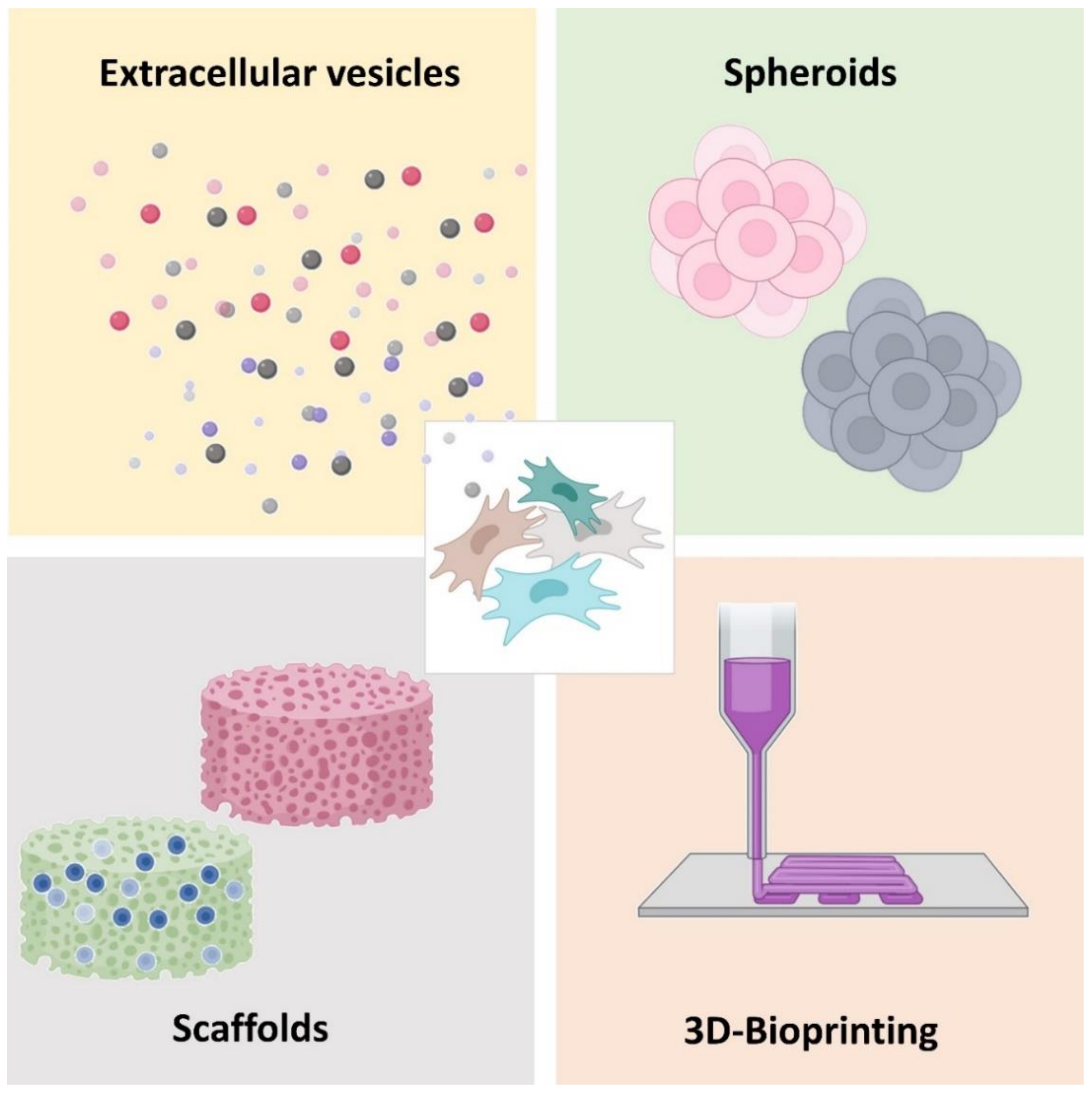 Pharmaceutics 13 00843 g003