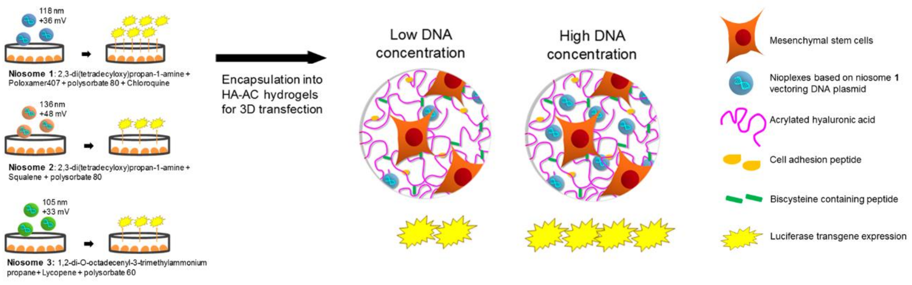 Pharmaceutics 13 00843 g004
