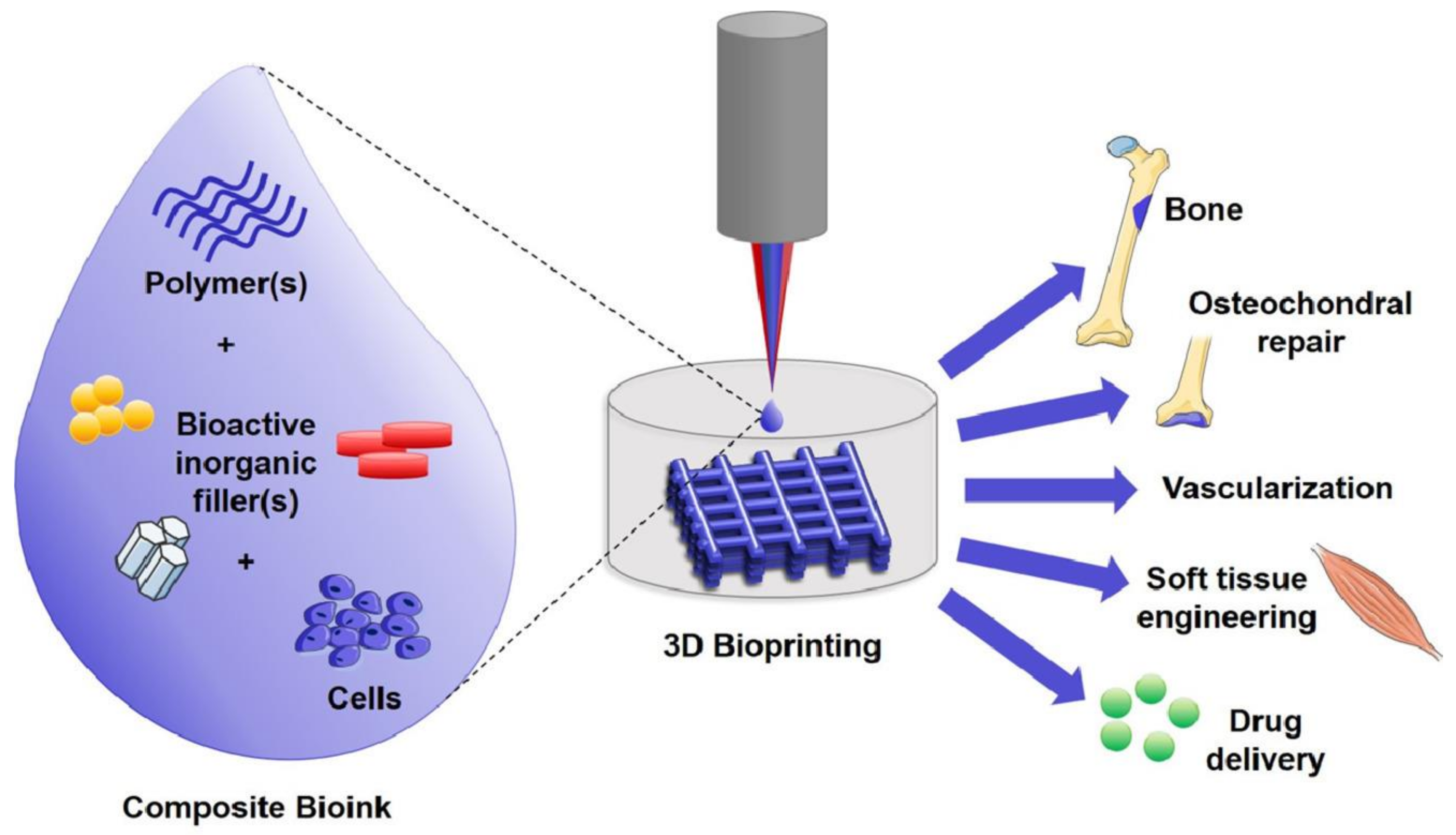 Pharmaceutics 13 00843 g005