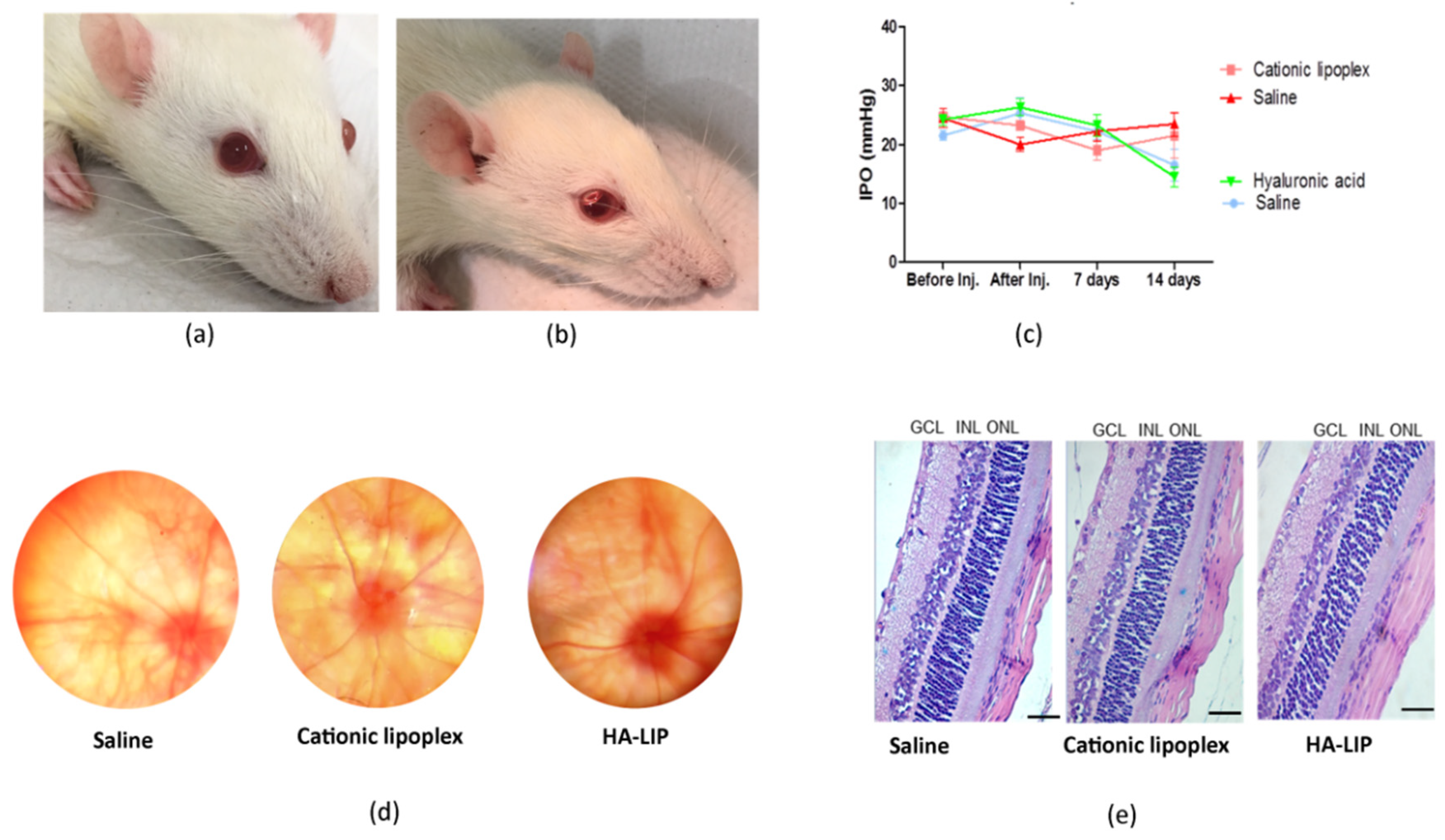 Pharmaceutics 13 00845 g005