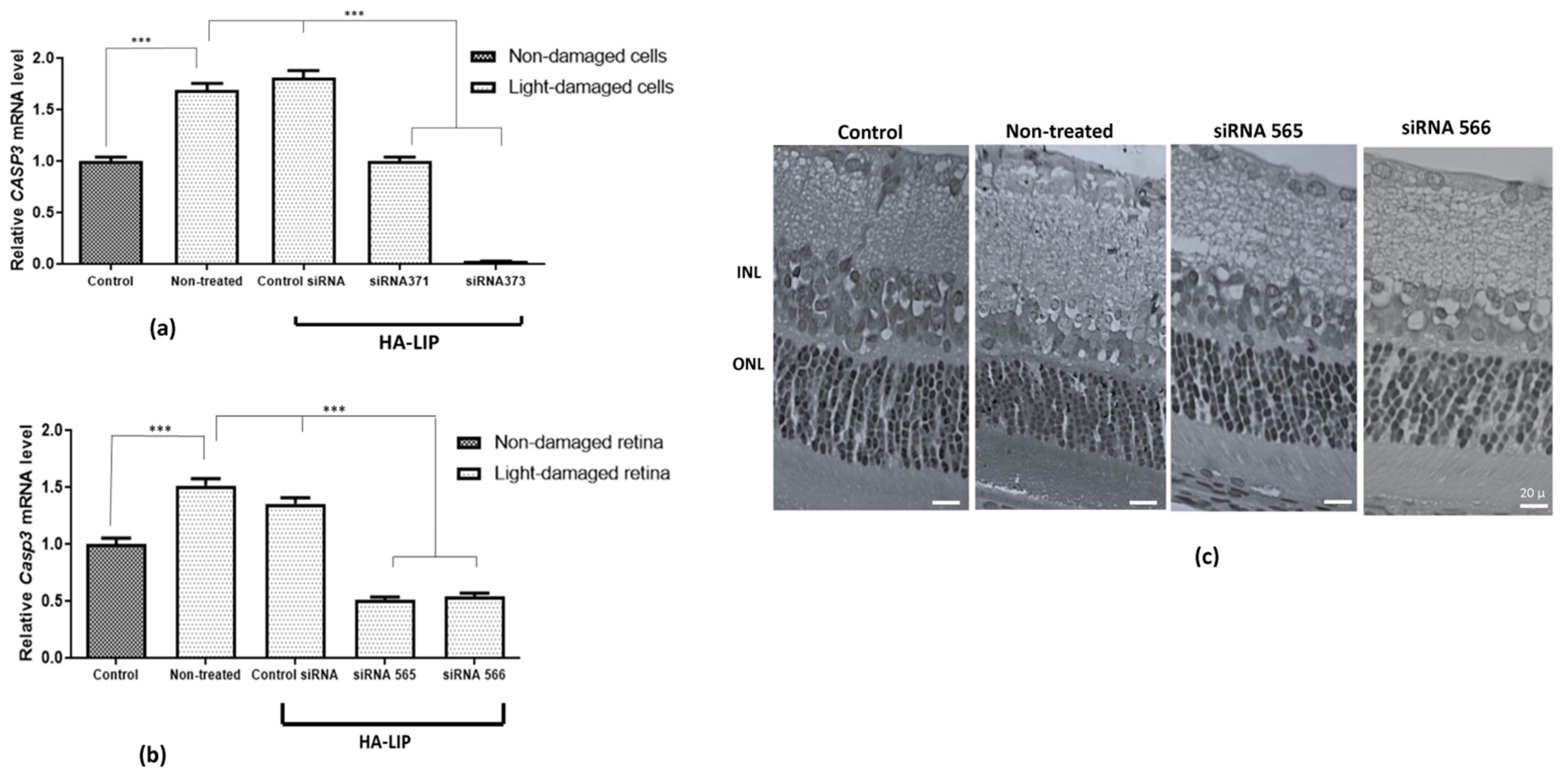 Pharmaceutics 13 00845 g006