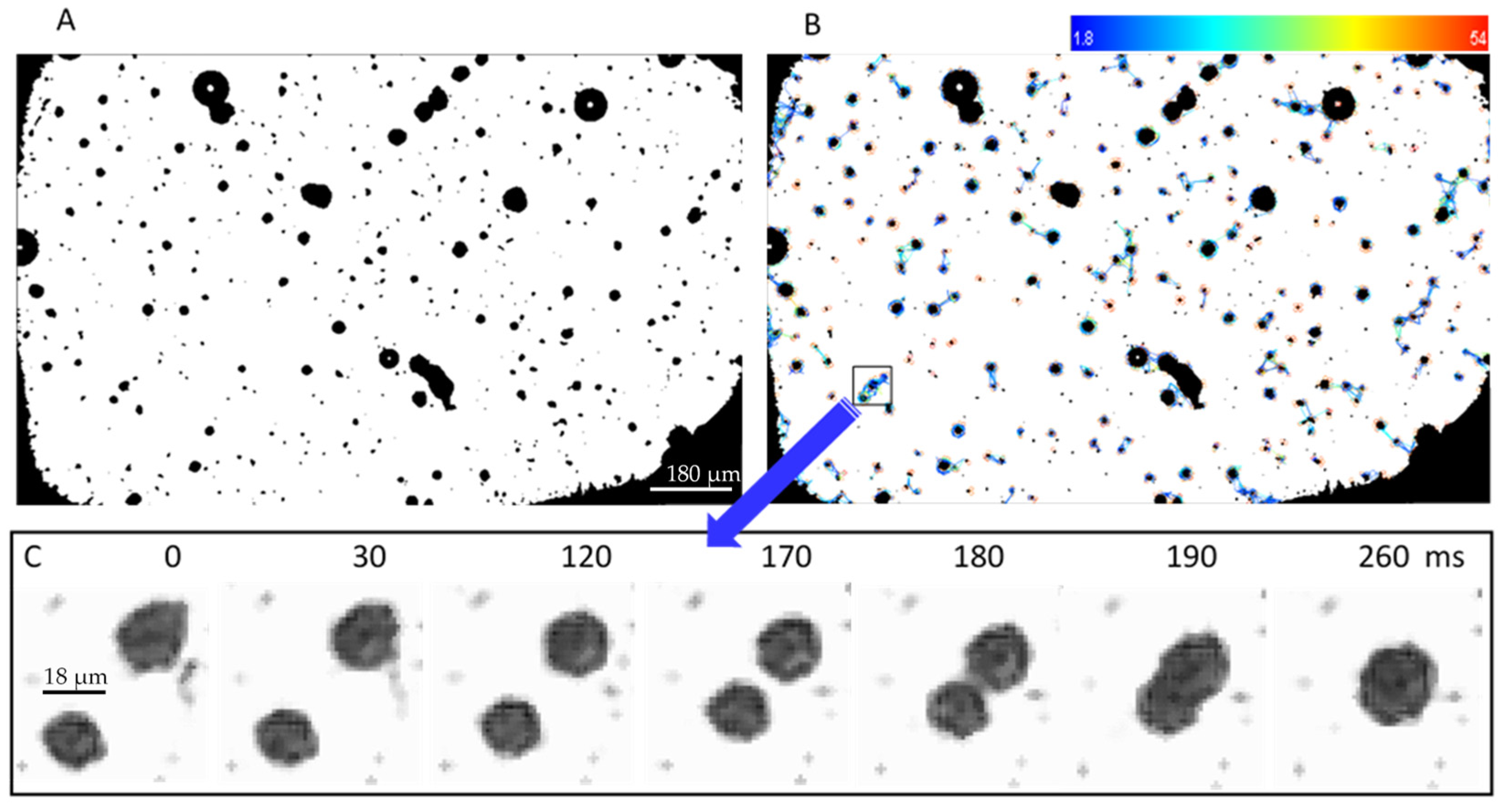 Pharmaceutics 13 00847 g005 Pharmaceutics 13 00847 g005