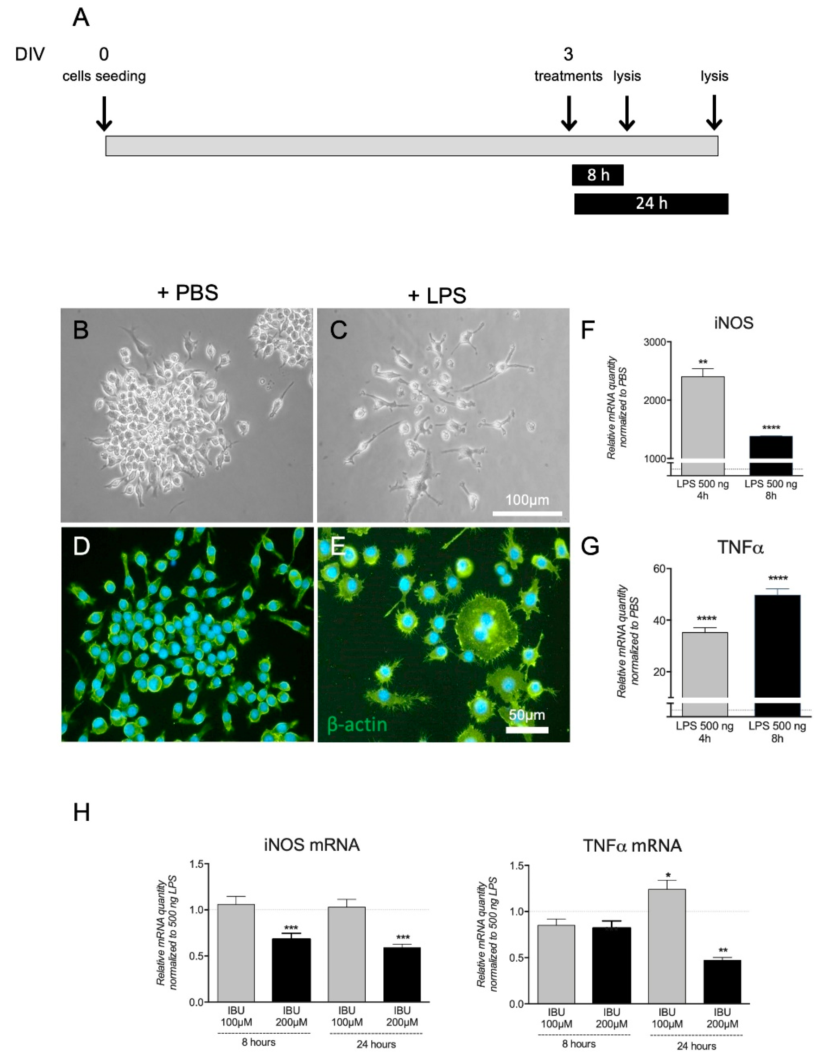 Pharmaceutics 13 00848 g001