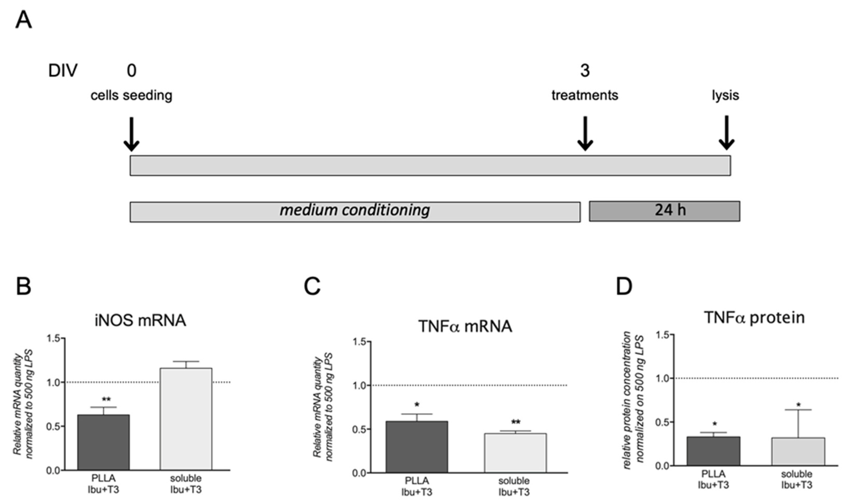 Pharmaceutics 13 00848 g006