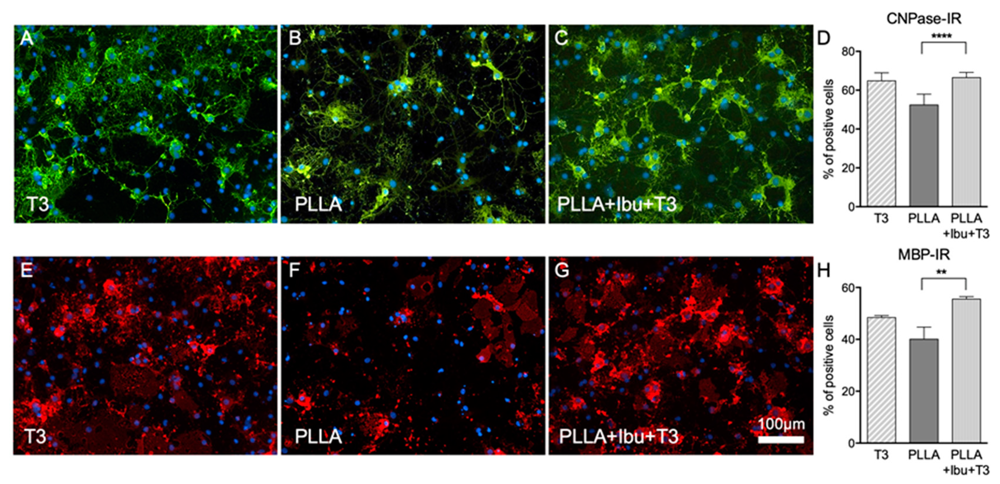 Pharmaceutics 13 00848 g007