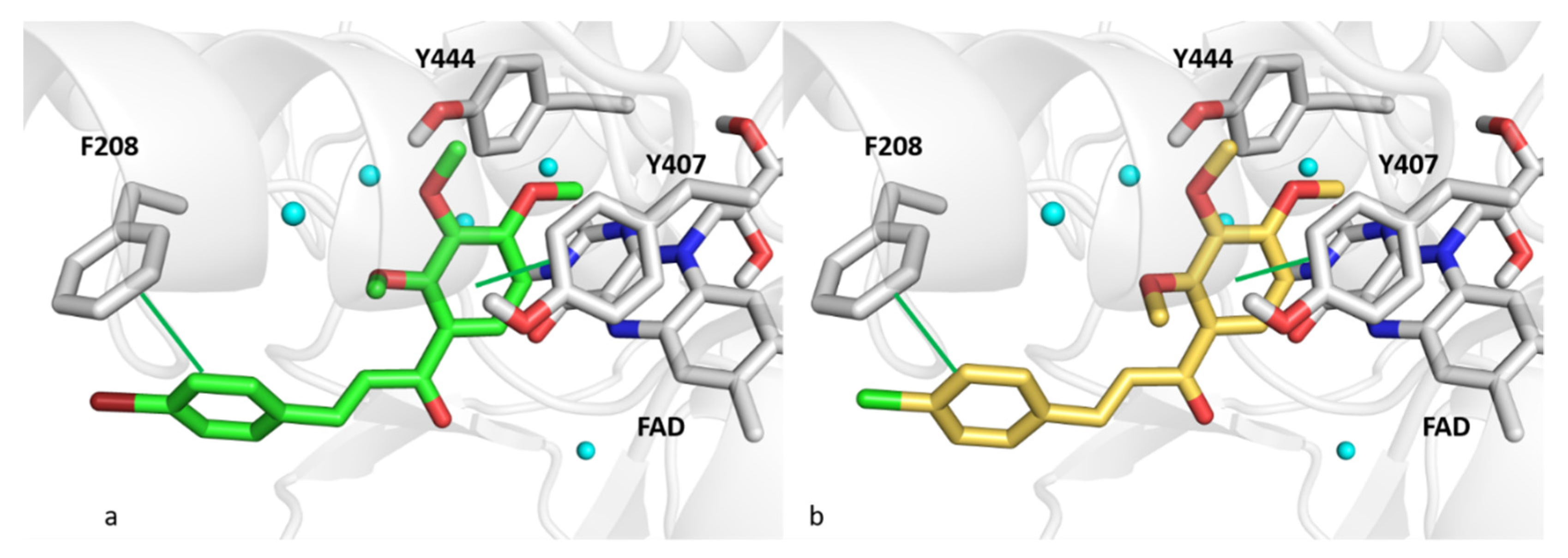 Pharmaceutics 13 00850 g006 Pharmaceutics 13 00850 g006