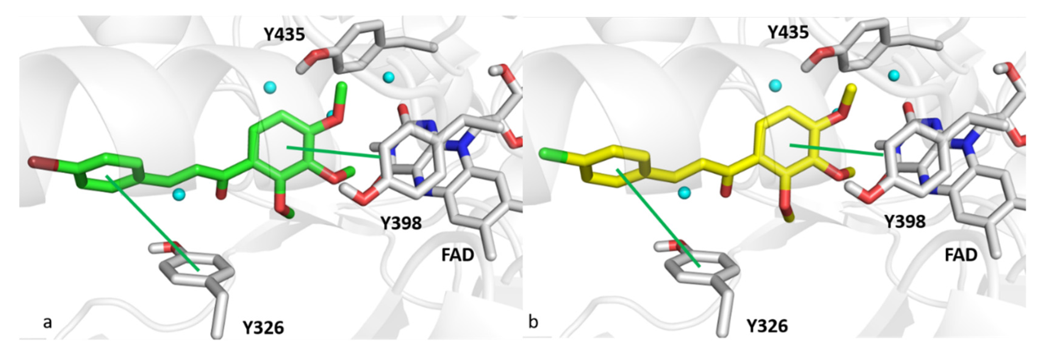 Pharmaceutics 13 00850 g007 Pharmaceutics 13 00850 g007