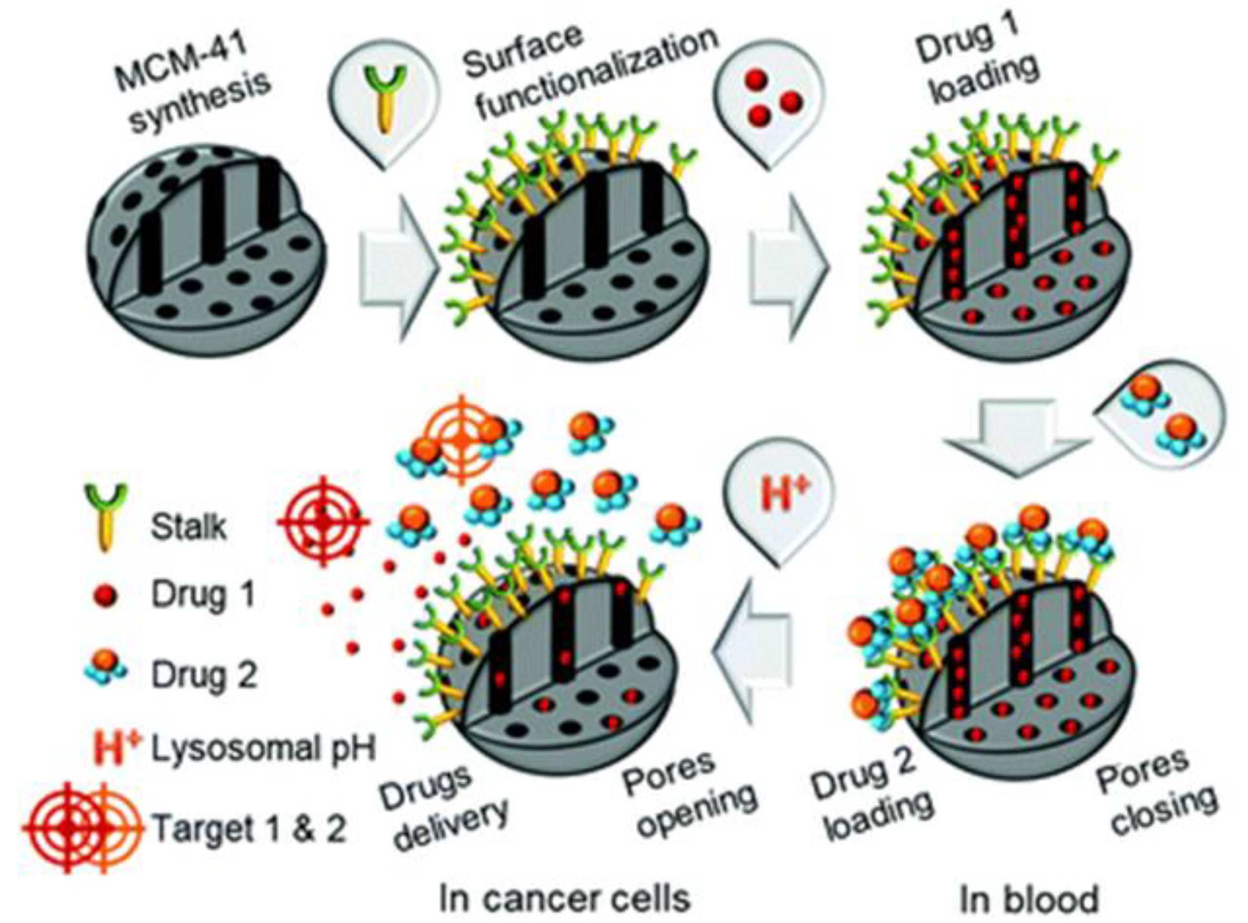 Pharmaceutics 13 00853 g002