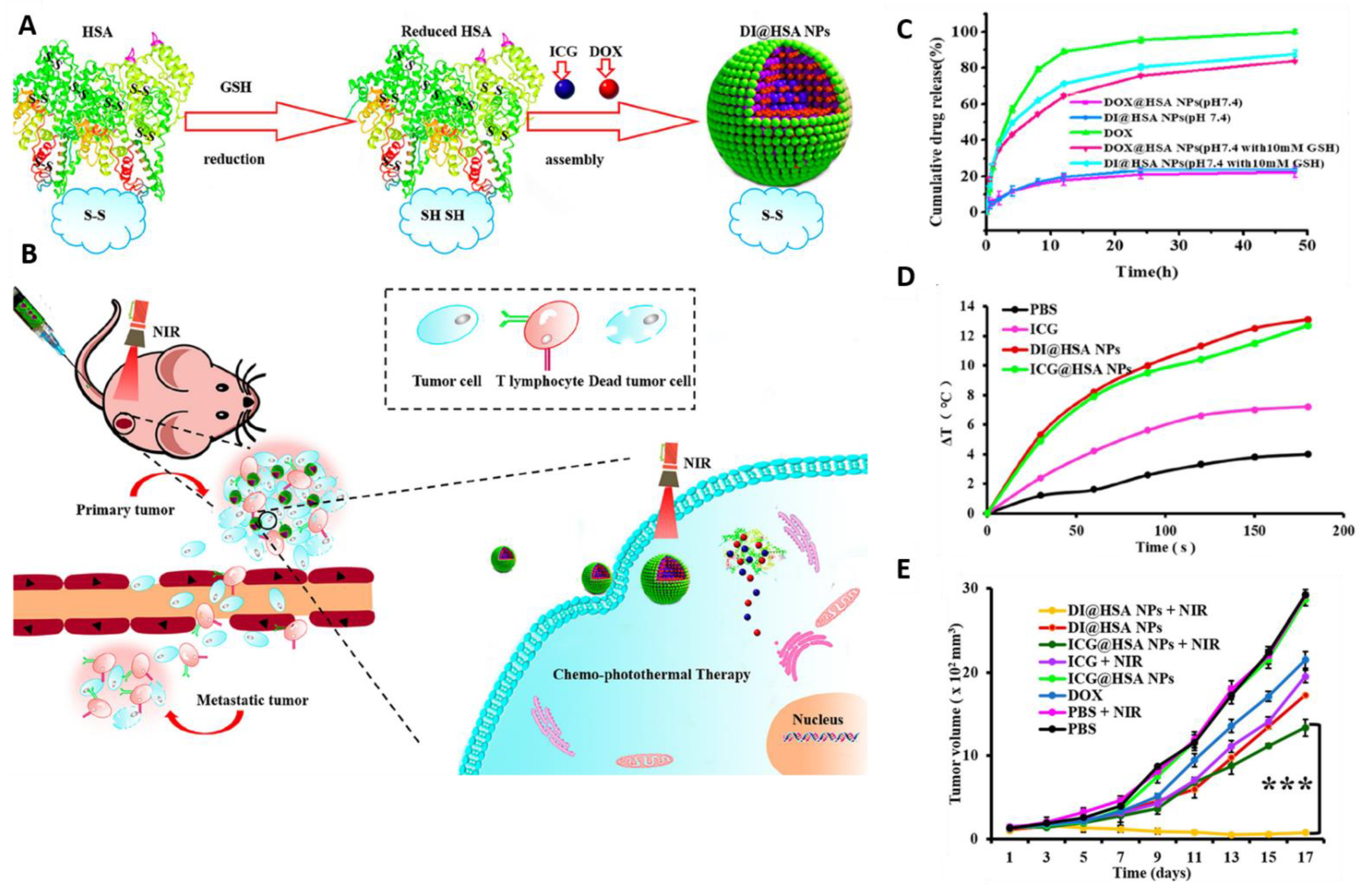 Pharmaceutics 13 00853 g003