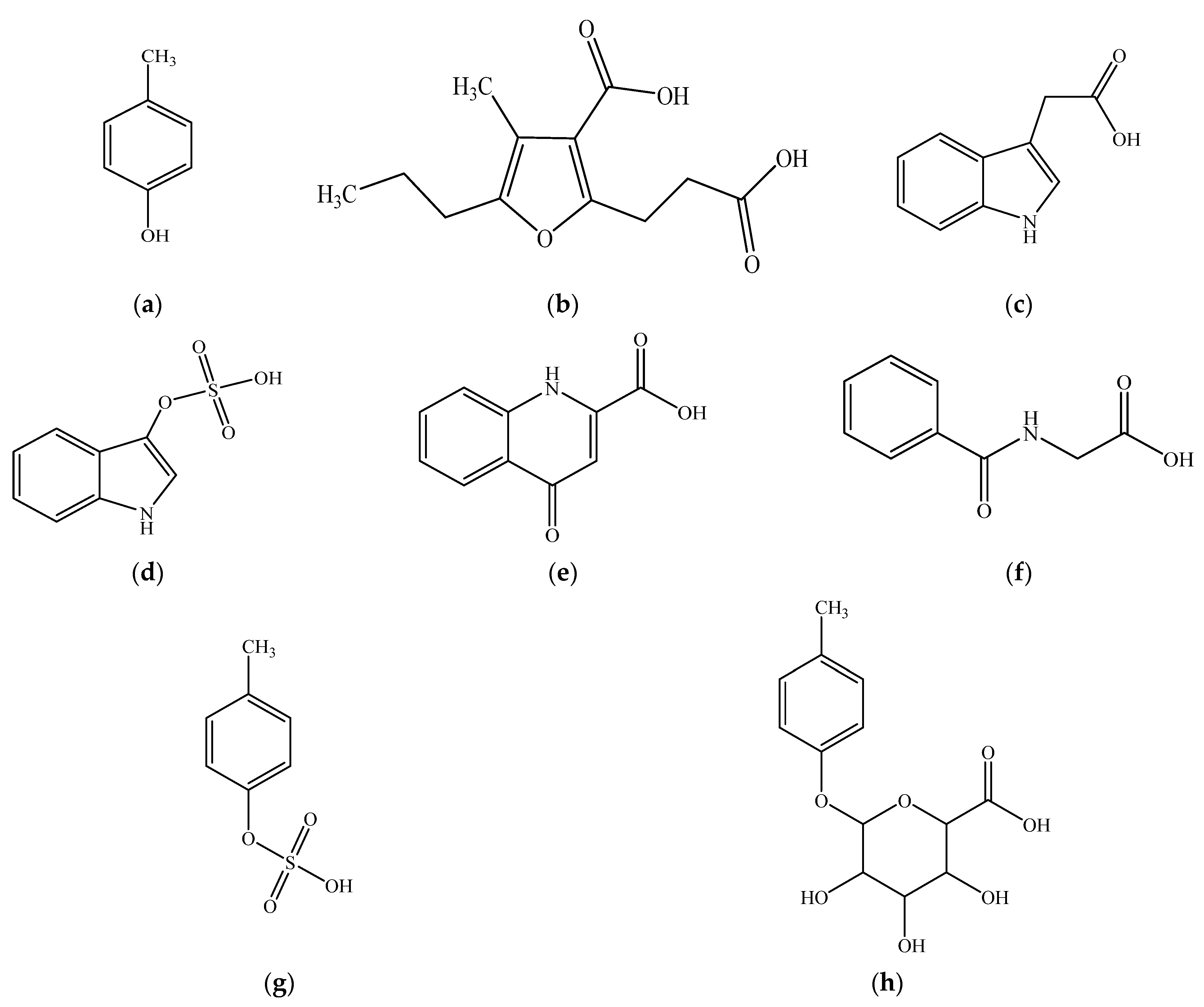 Pharmaceutics 13 00857 g001 Pharmaceutics 13 00857 g001