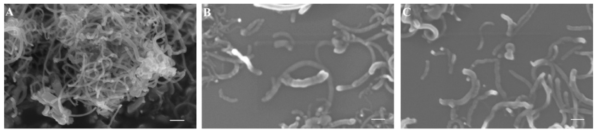 Pharmaceutics 13 00858 g004