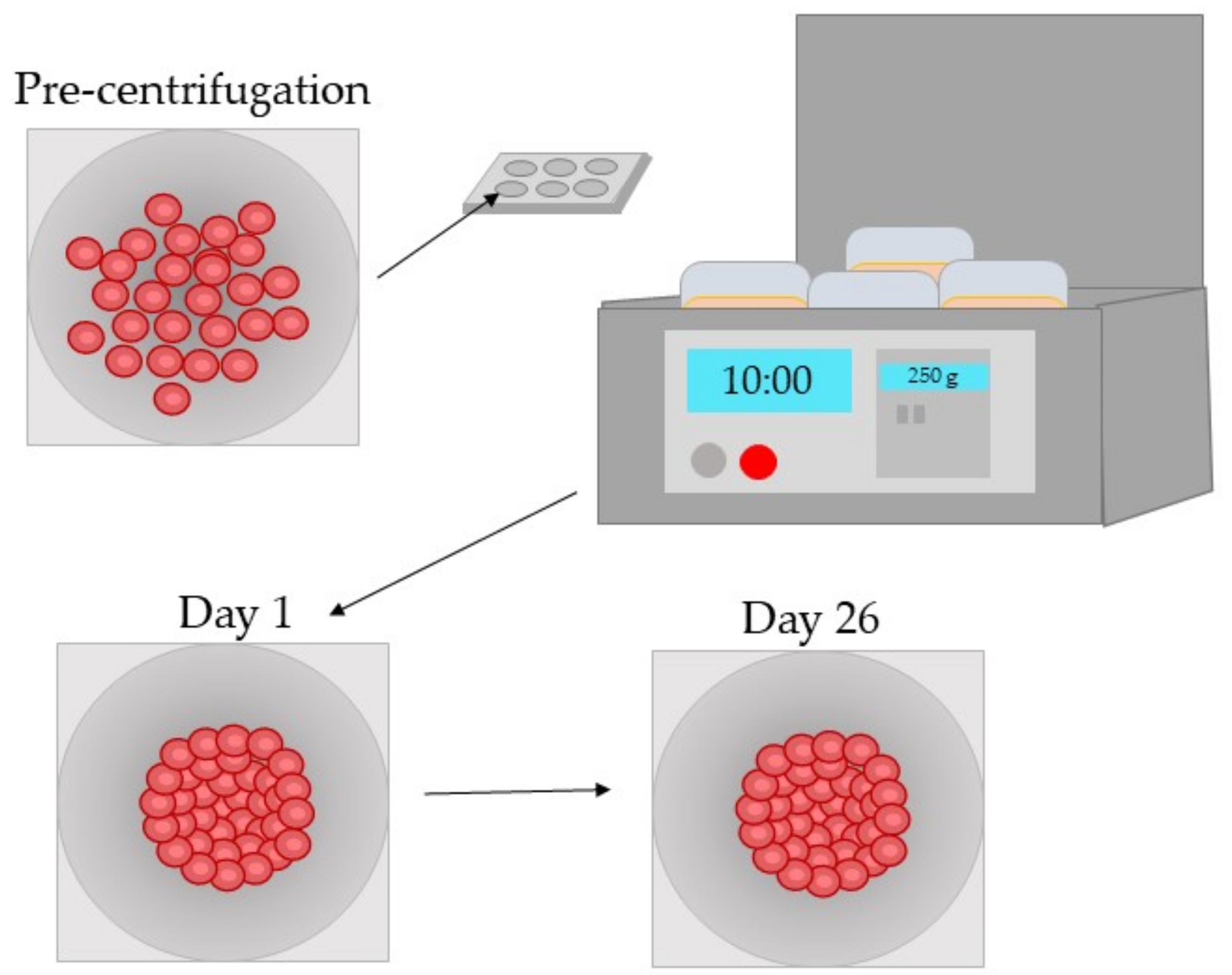 Pharmaceutics 13 00860 g003