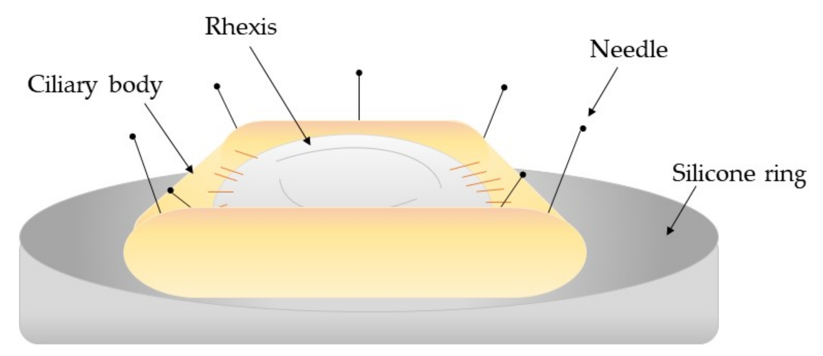 Pharmaceutics 13 00860 g004