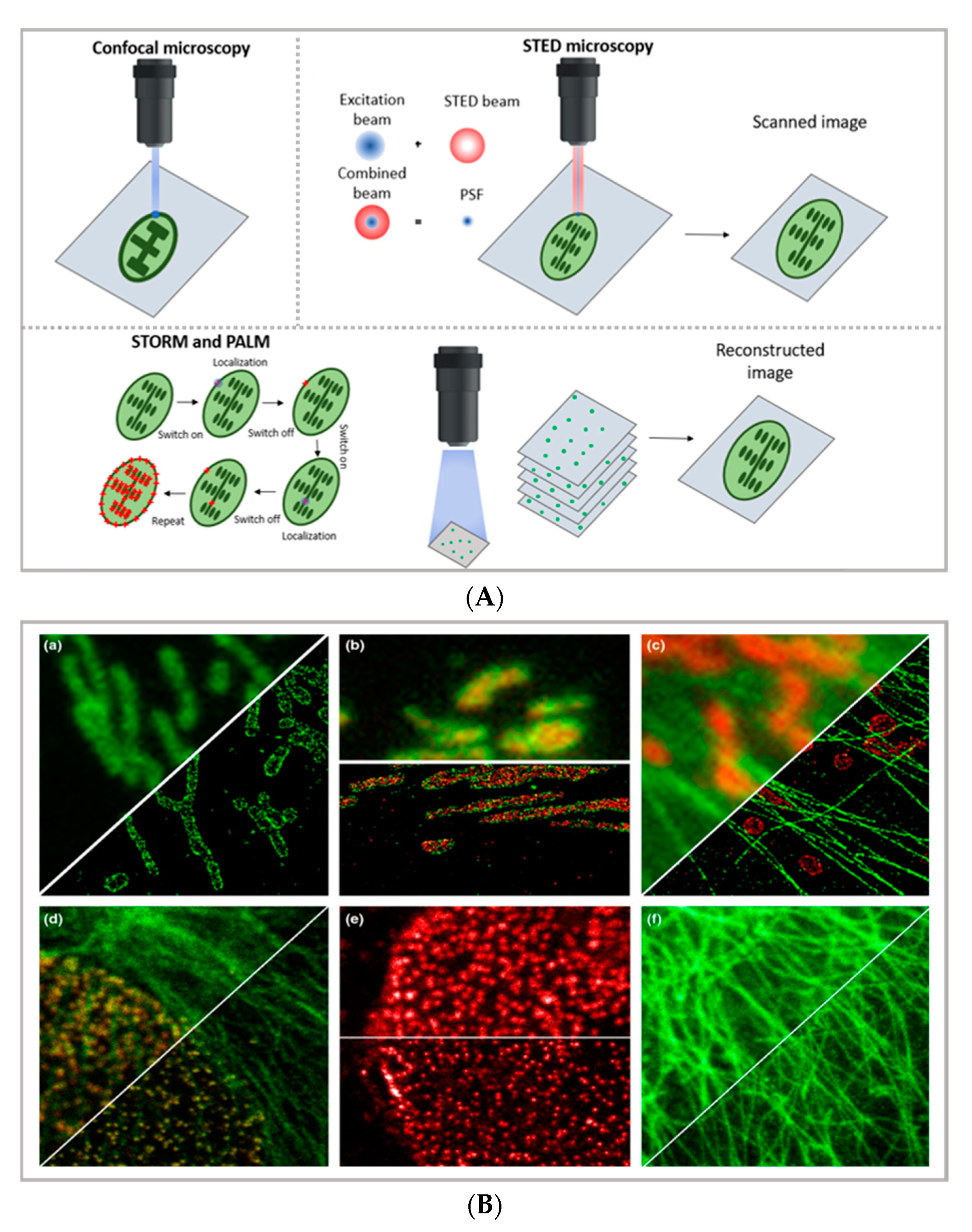 Pharmaceutics 13 00861 g001a