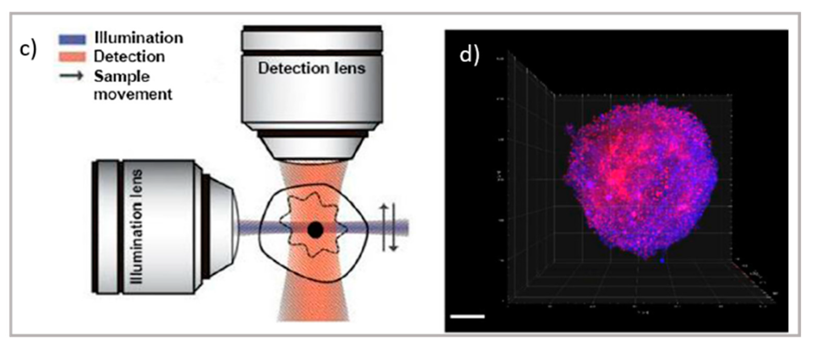 Pharmaceutics 13 00861 g002b