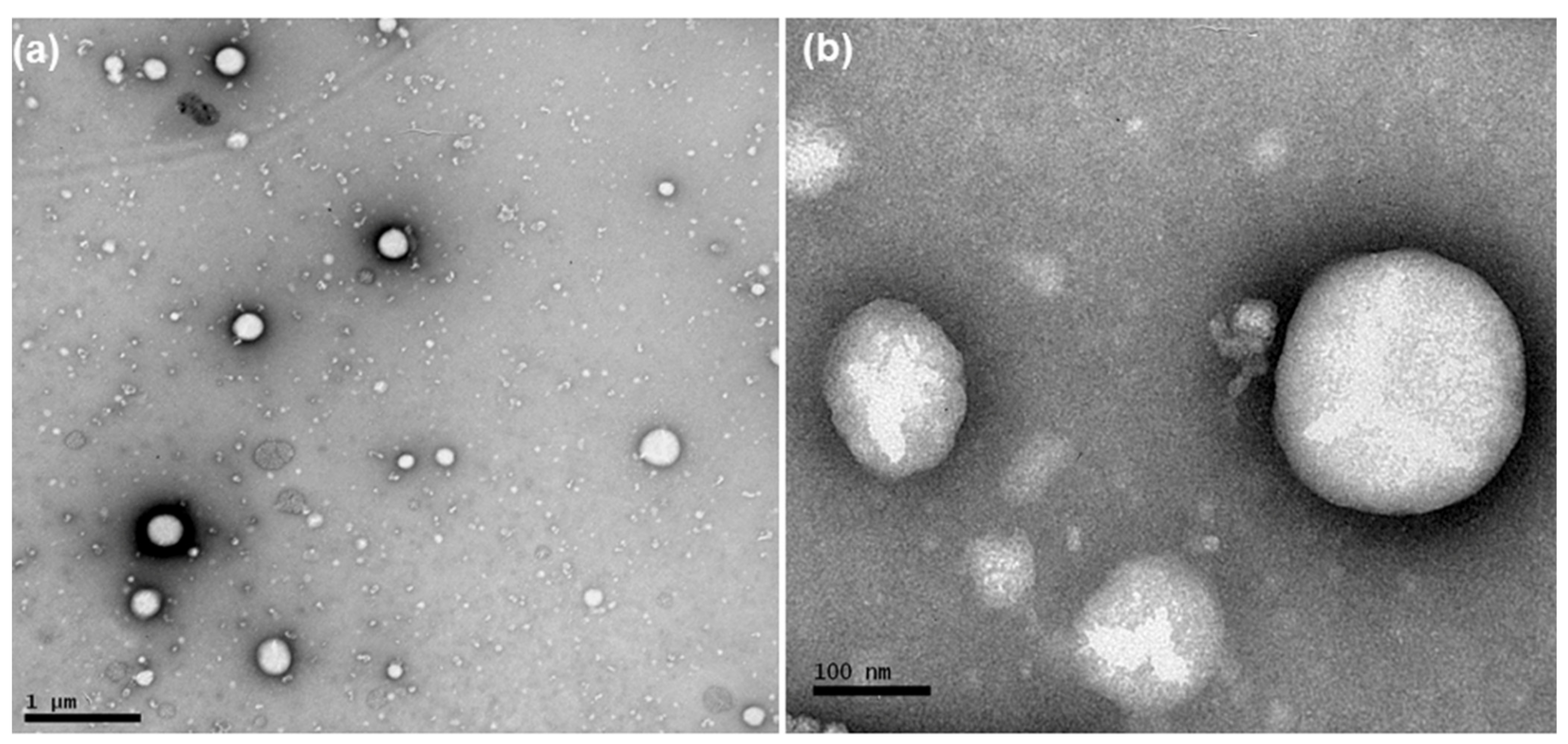 Pharmaceutics 13 00862 g001