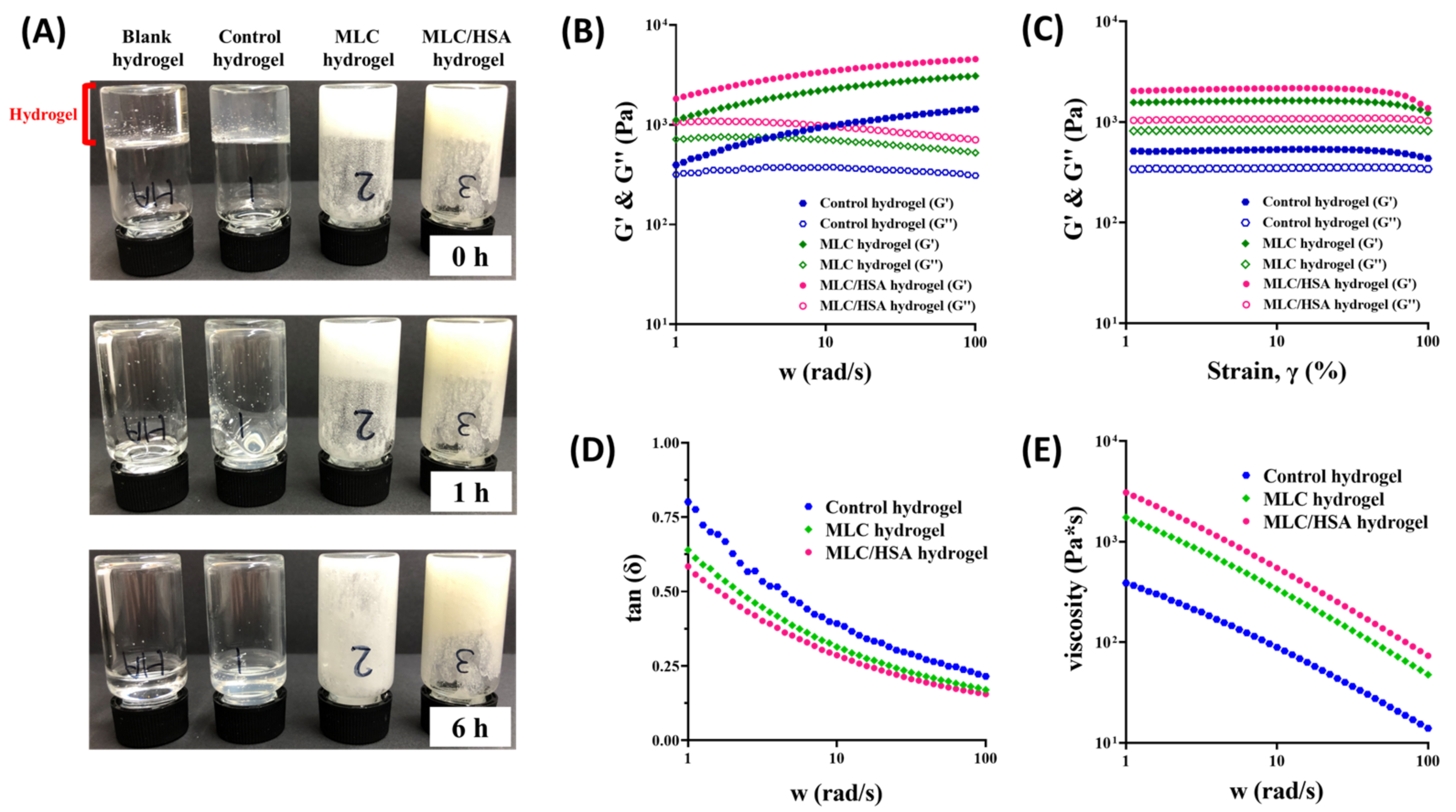 Pharmaceutics 13 00864 g004