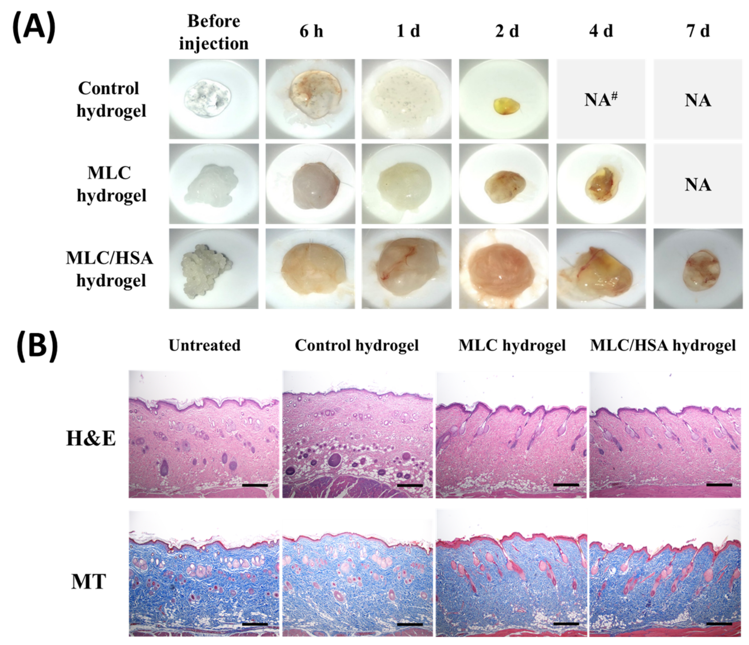 Pharmaceutics 13 00864 g007