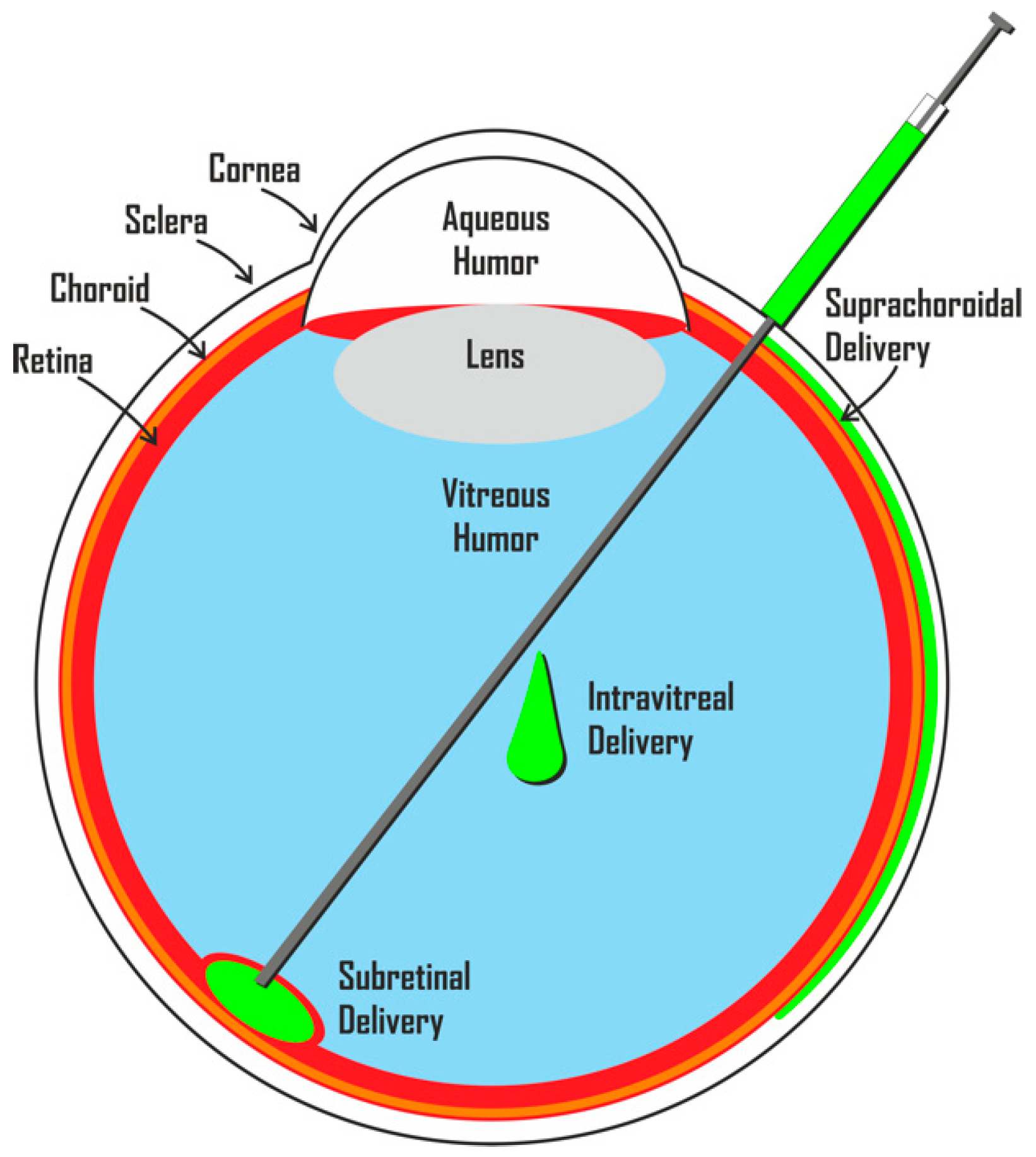 Pharmaceutics 13 00865 g001