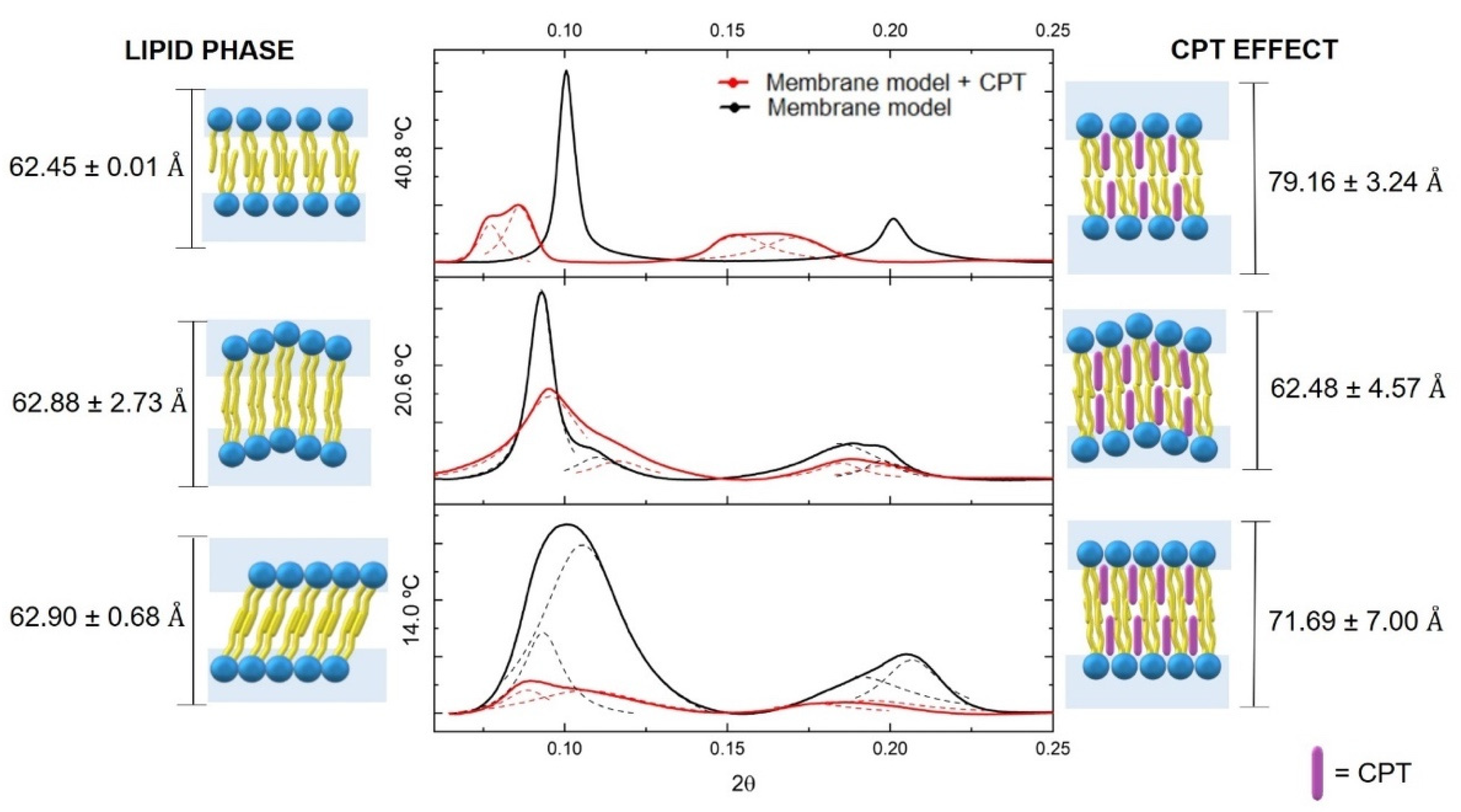 Pharmaceutics 13 00869 g006