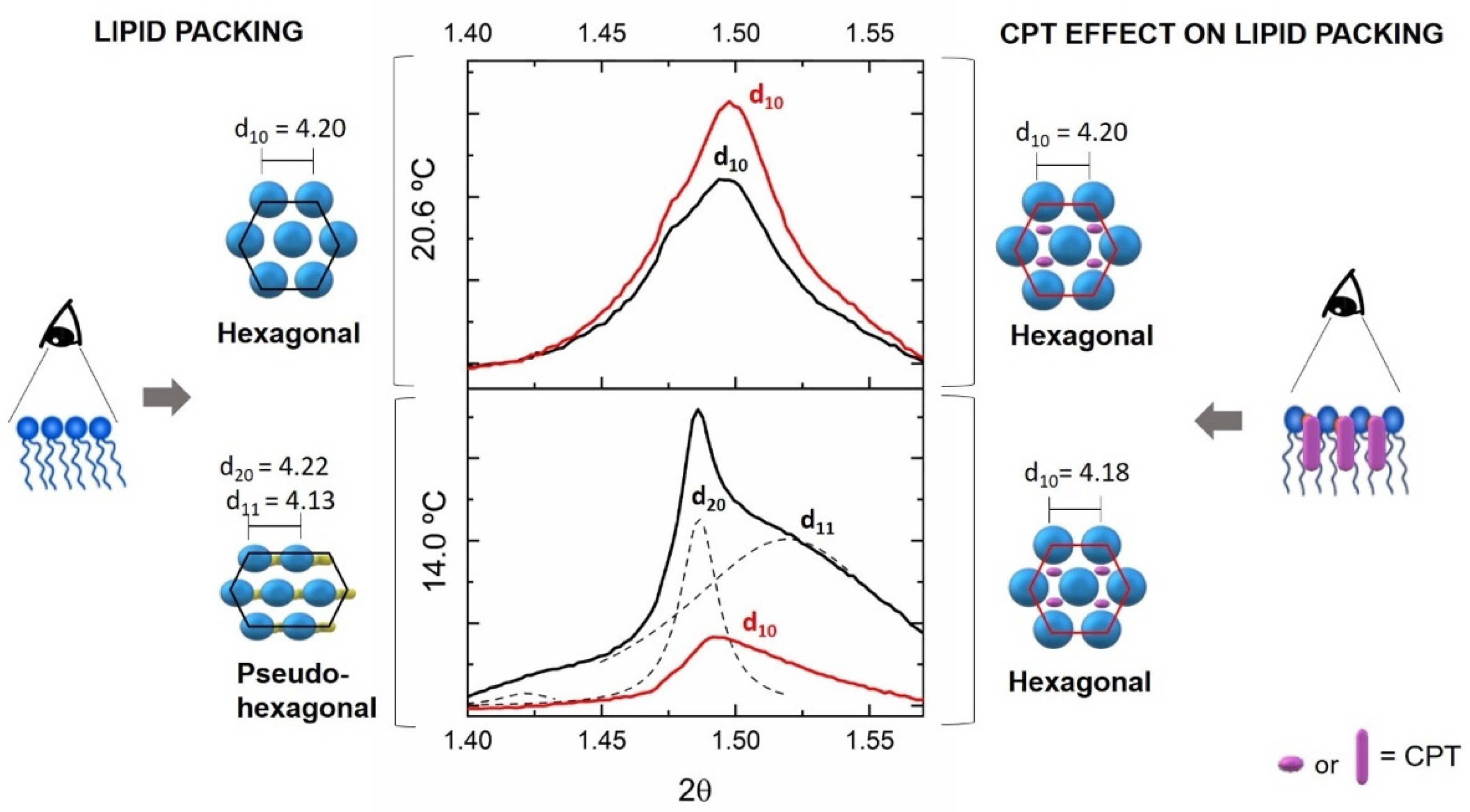Pharmaceutics 13 00869 g007