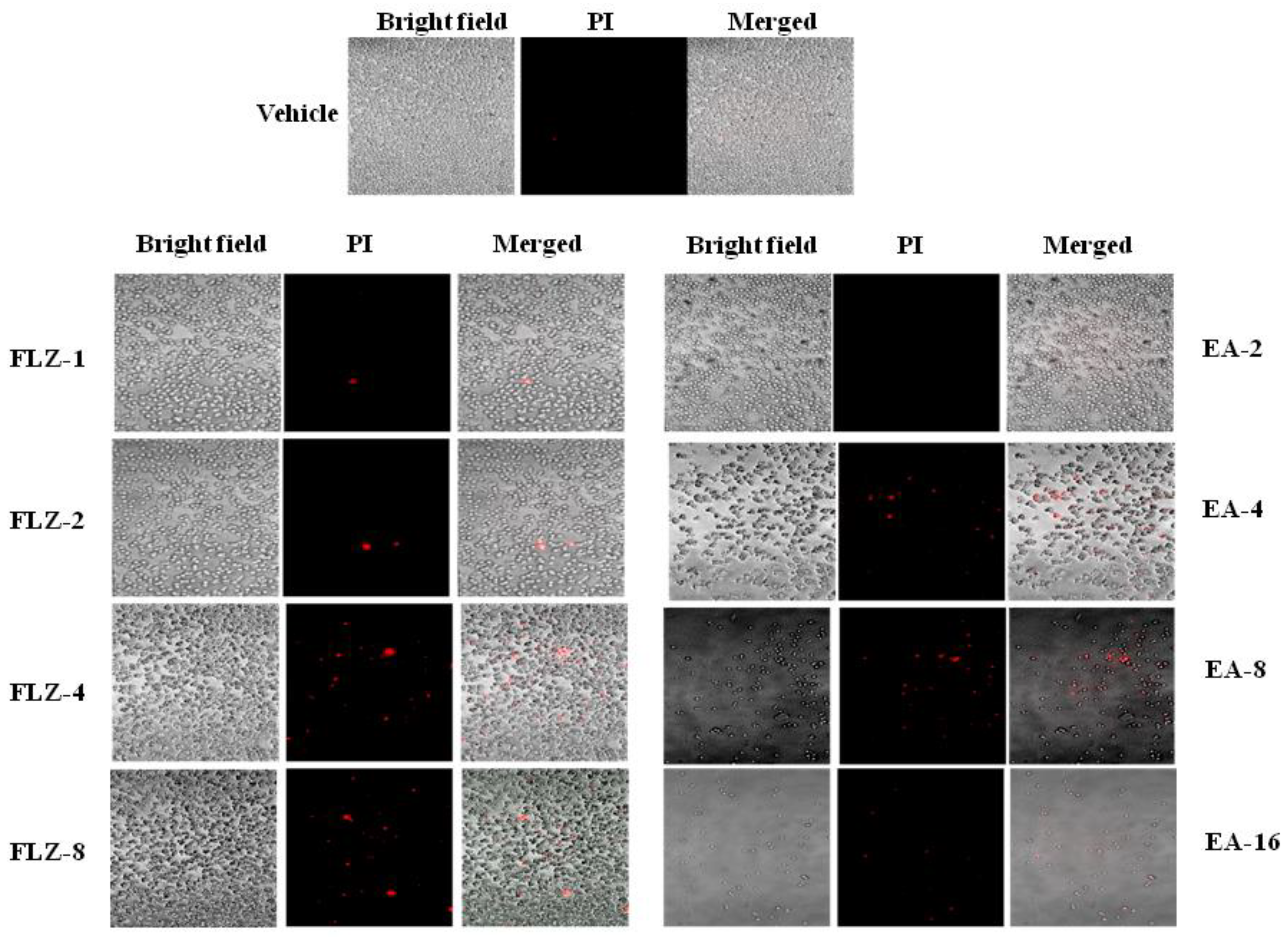 Pharmaceutics 13 00882 g001