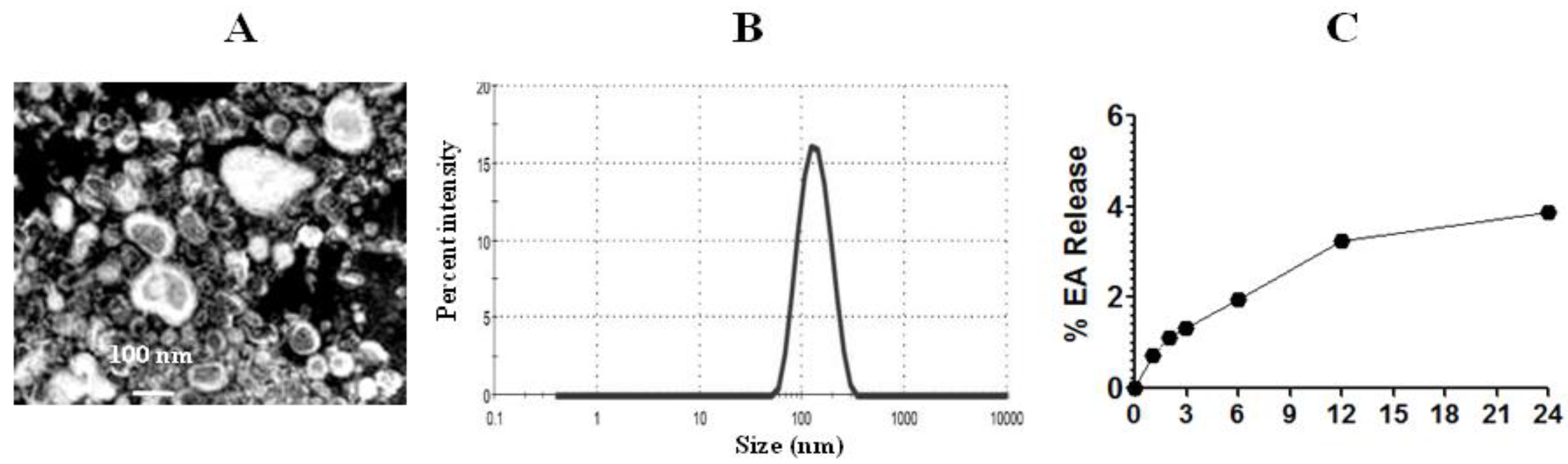 Pharmaceutics 13 00882 g004