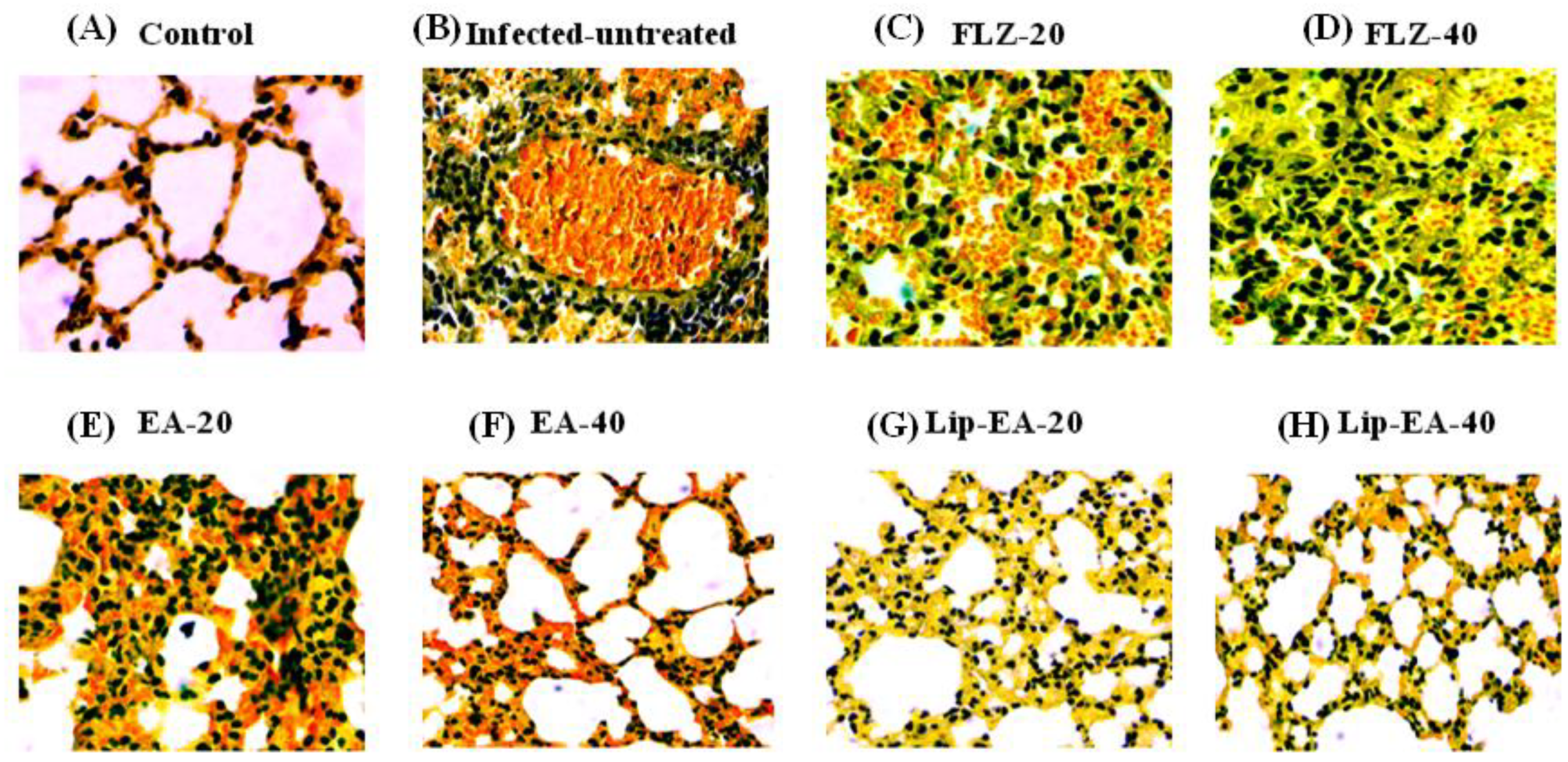 Pharmaceutics 13 00882 g009