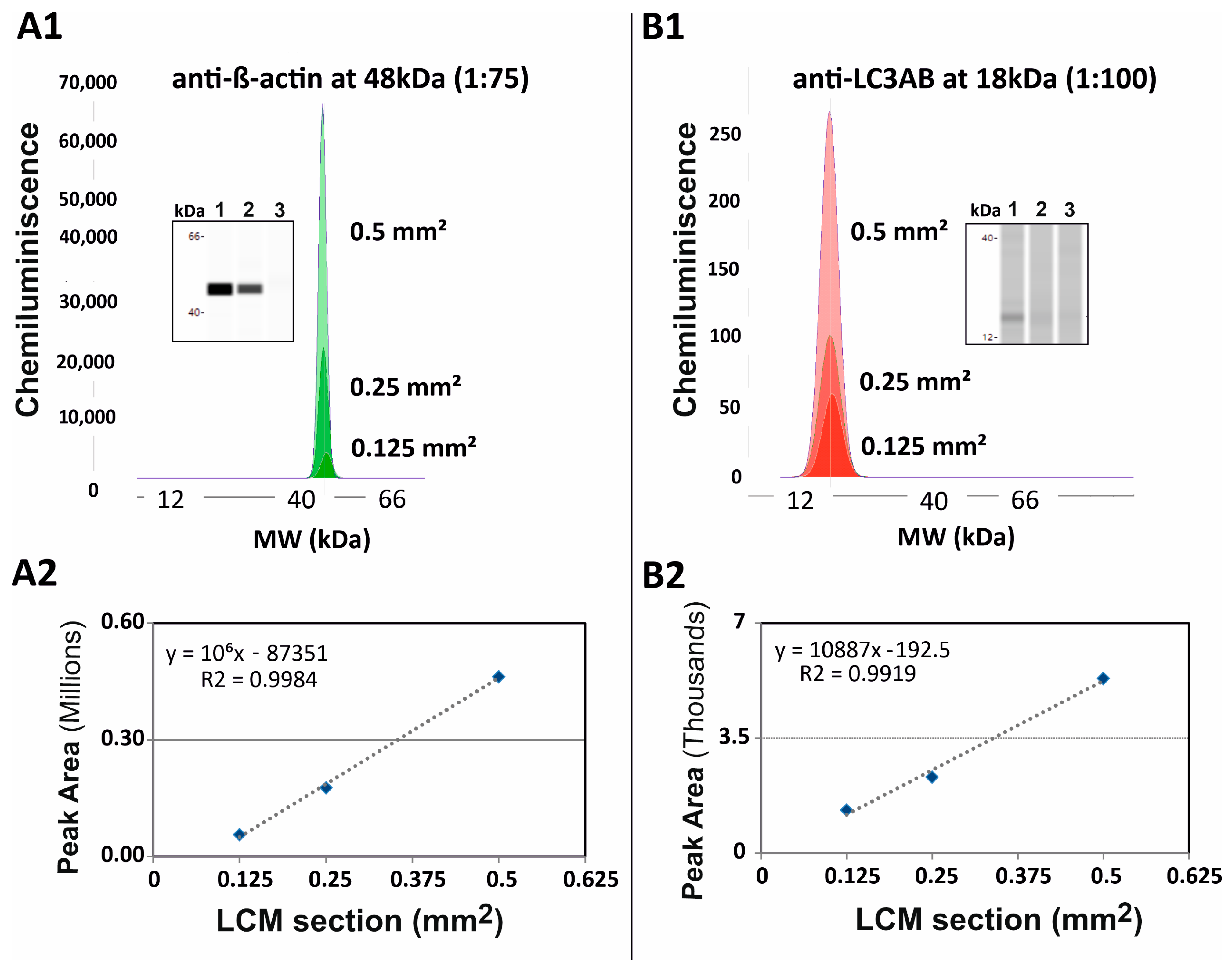 Pharmaceutics 13 00883 g002