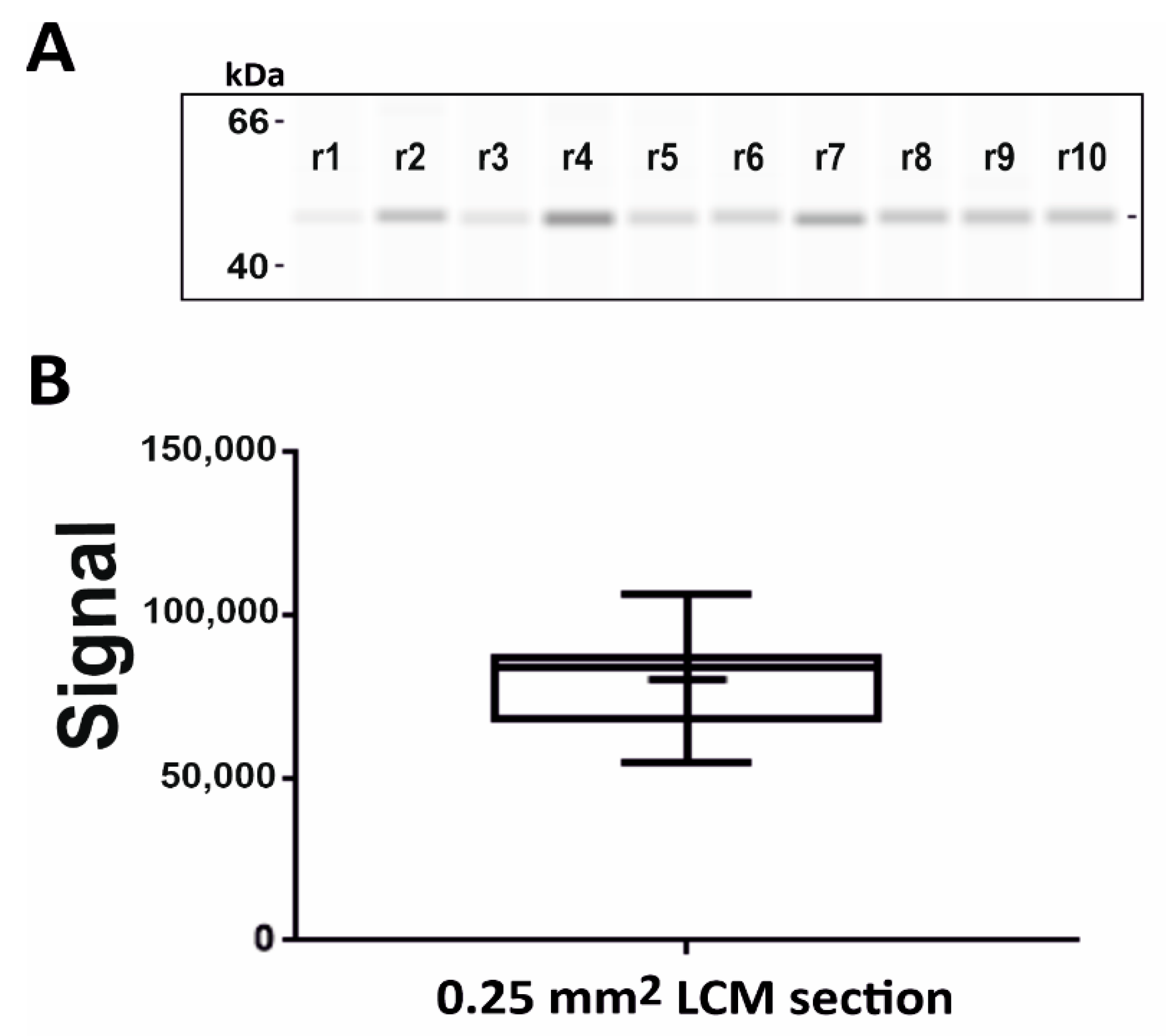Pharmaceutics 13 00883 g003