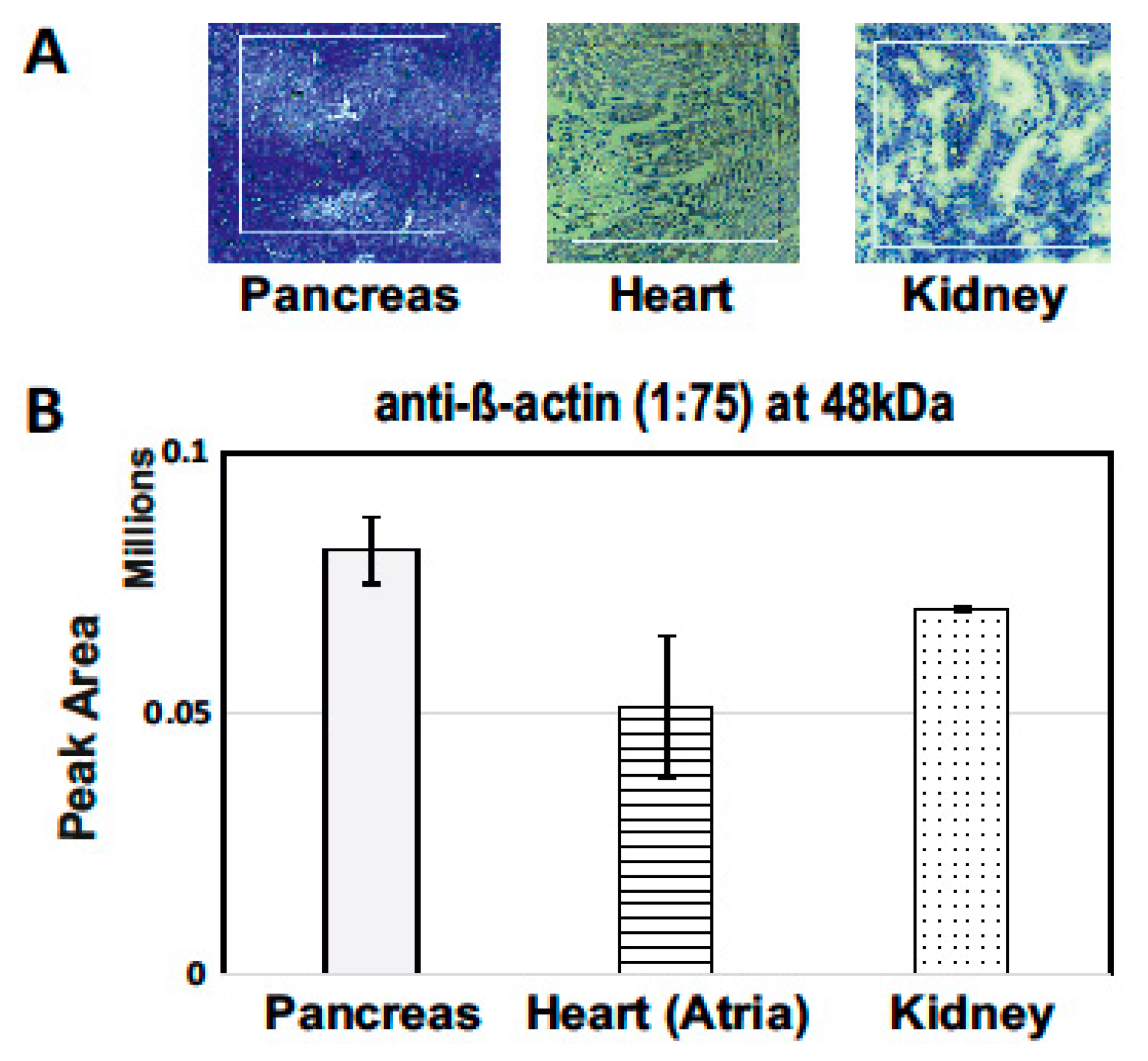 Pharmaceutics 13 00883 g004