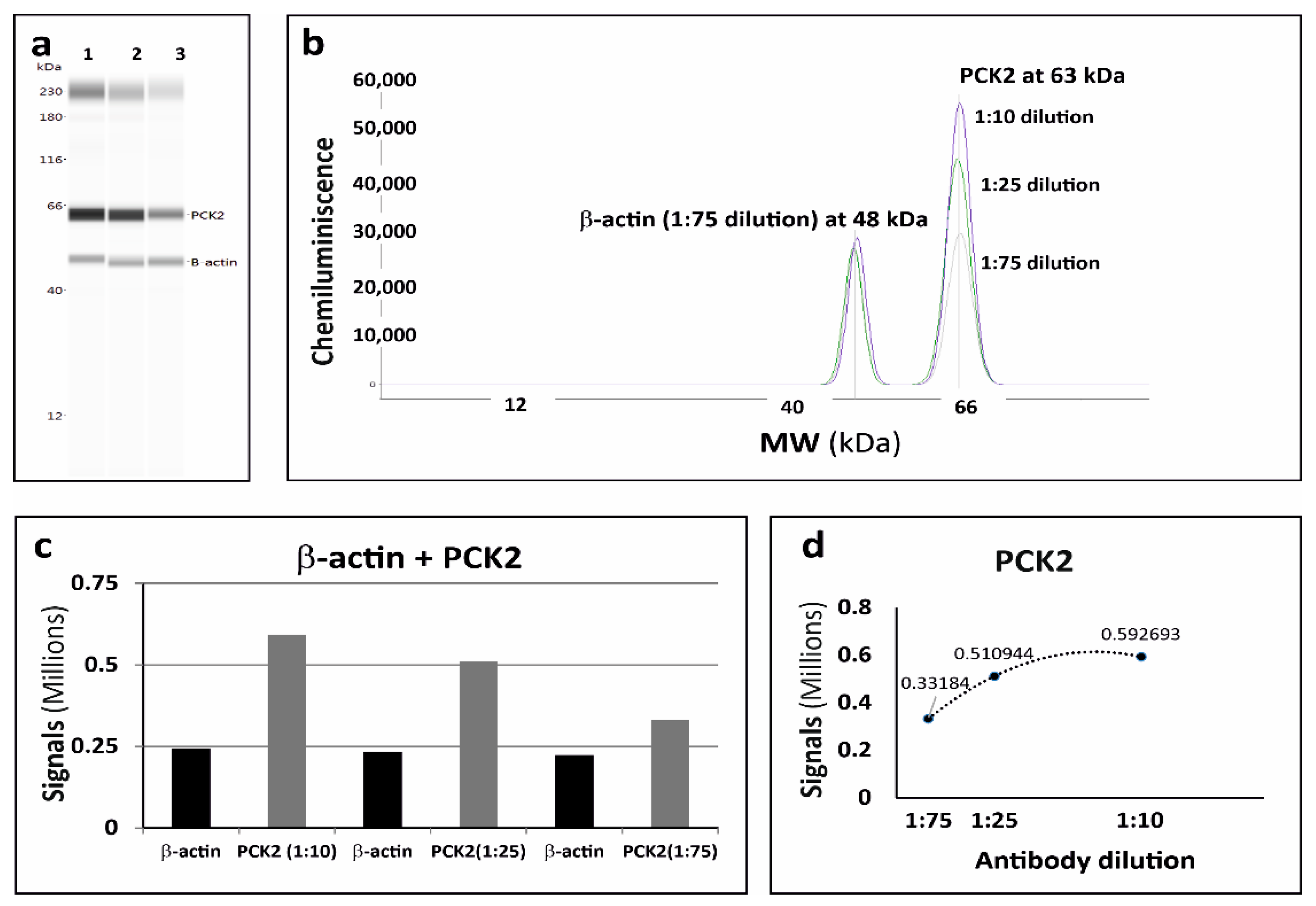Pharmaceutics 13 00883 g005