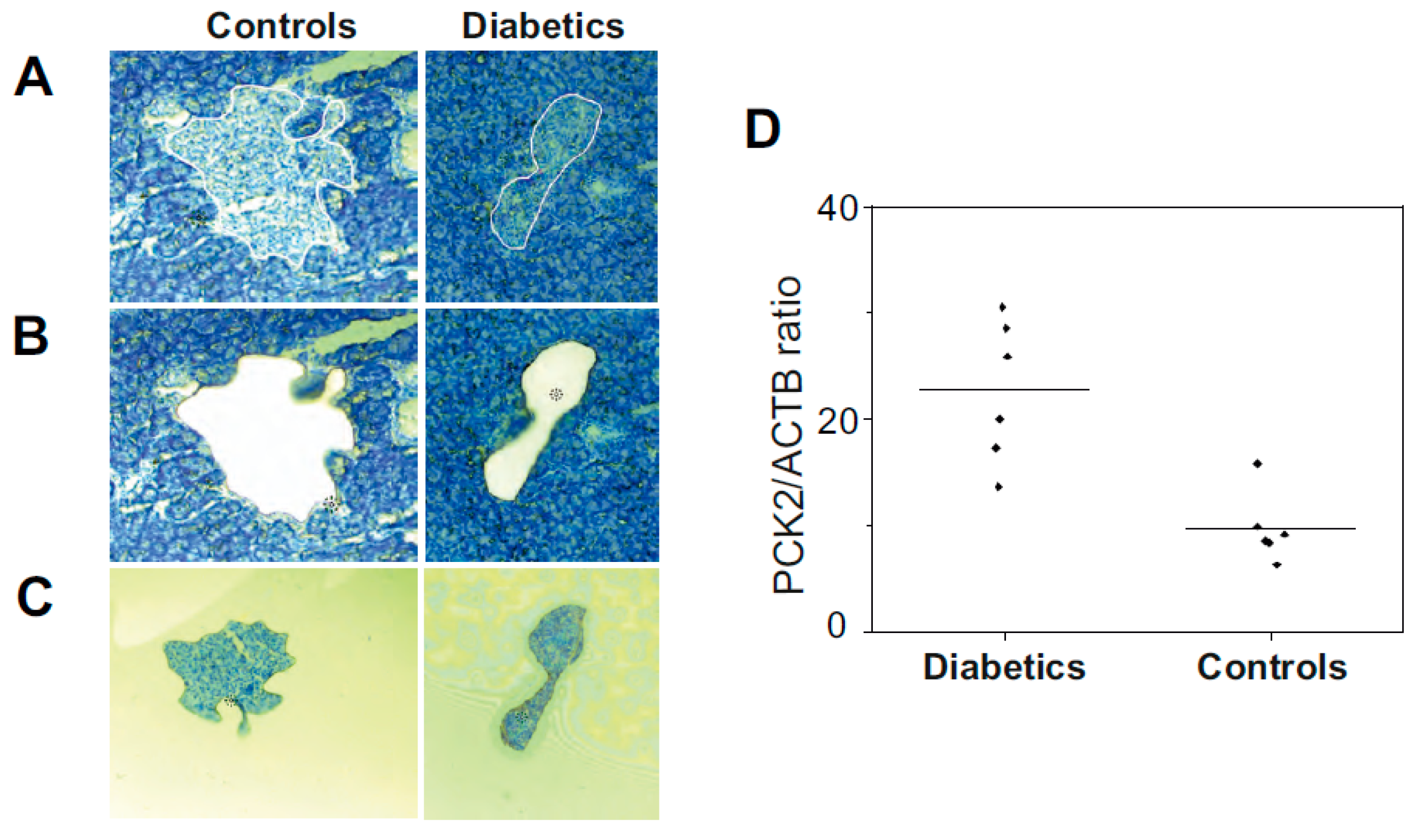 Pharmaceutics 13 00883 g007