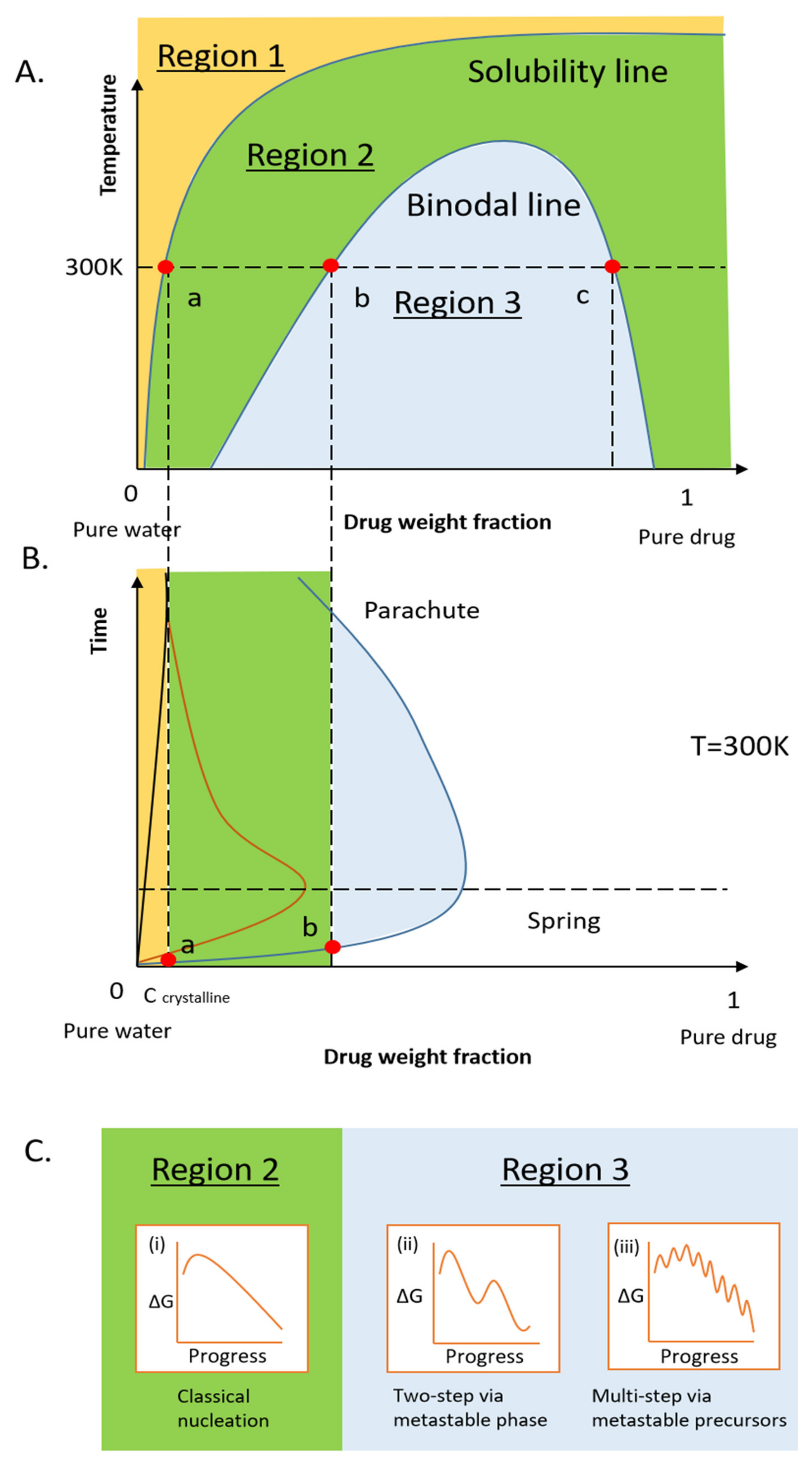 Pharmaceutics 13 00889 g001