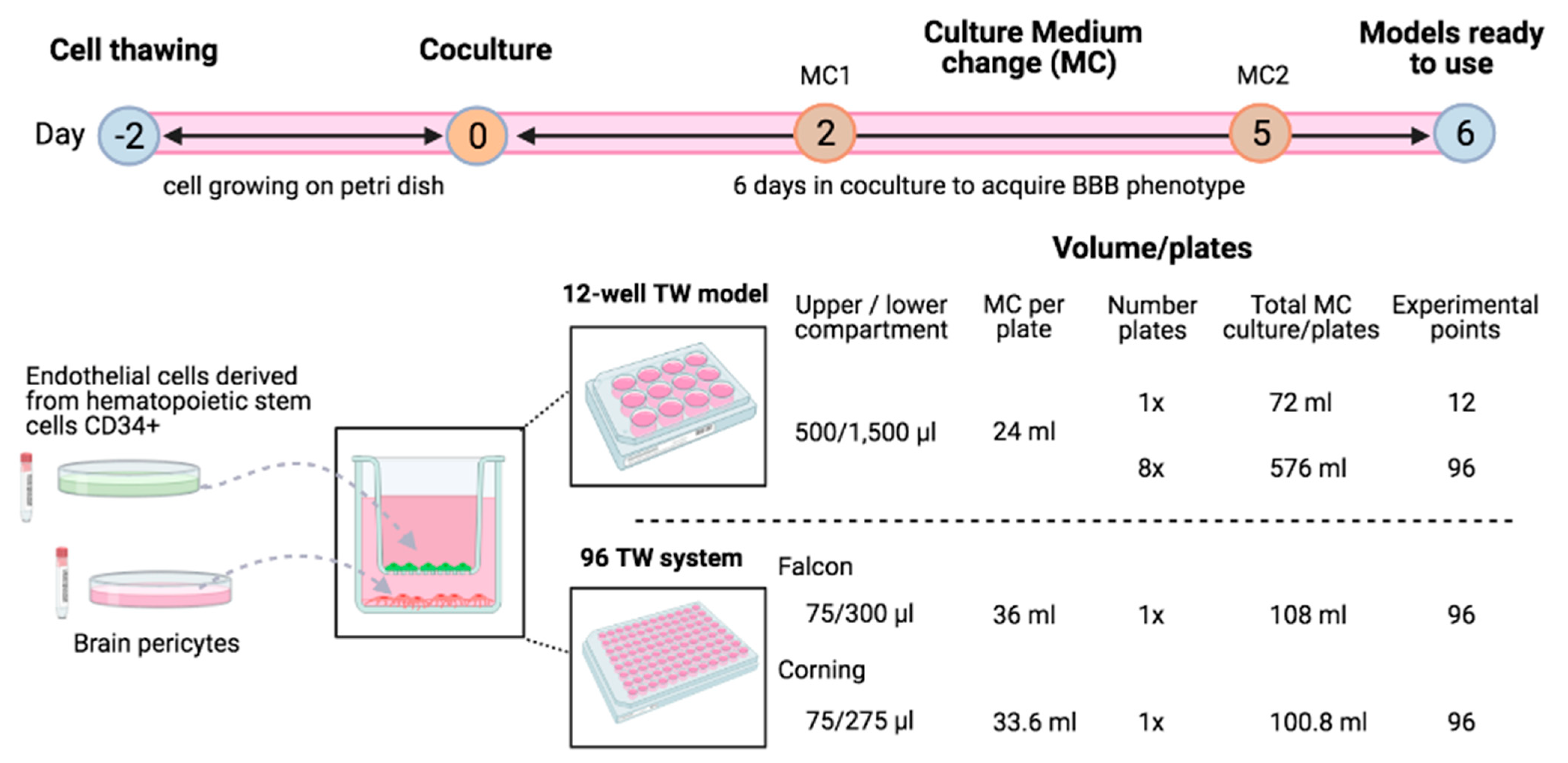 Pharmaceutics 13 00892 g001