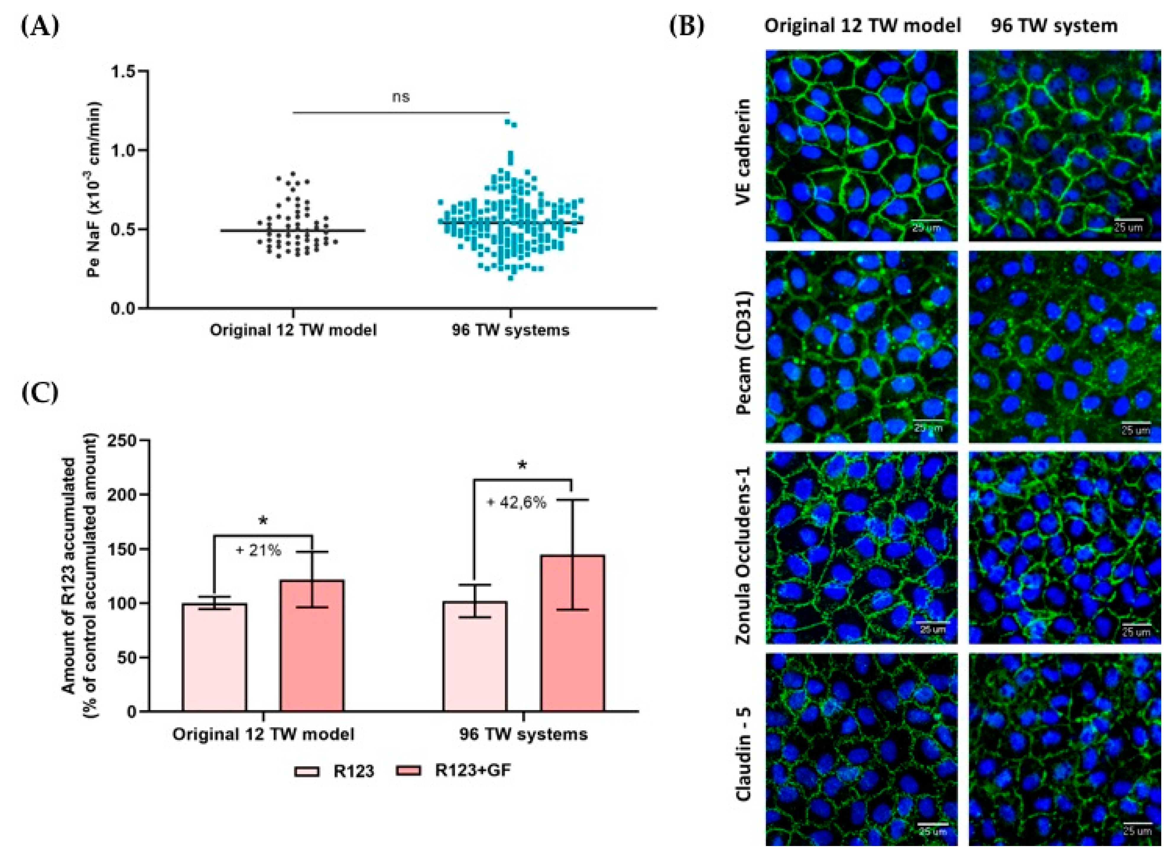 Pharmaceutics 13 00892 g005