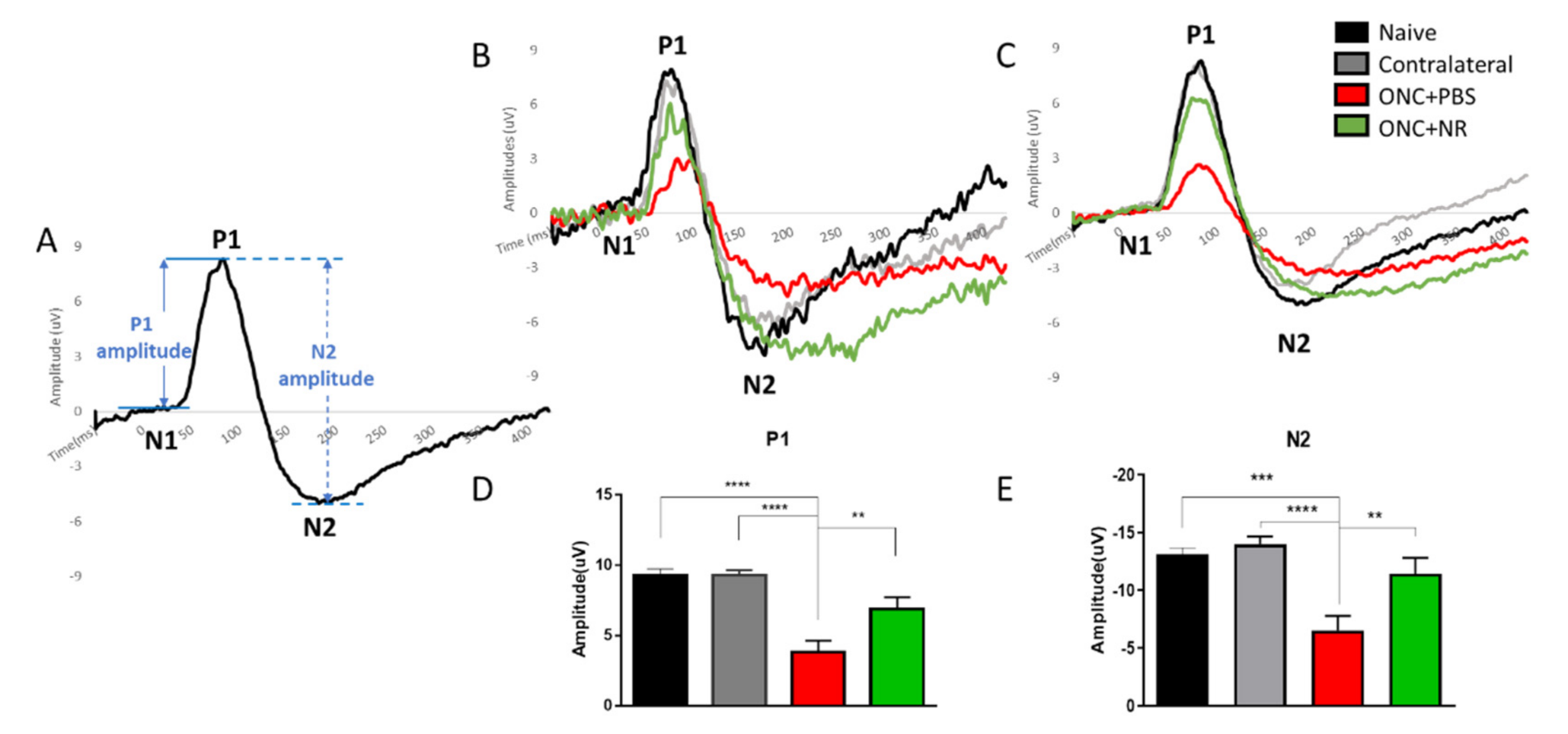 Pharmaceutics 13 00893 g002